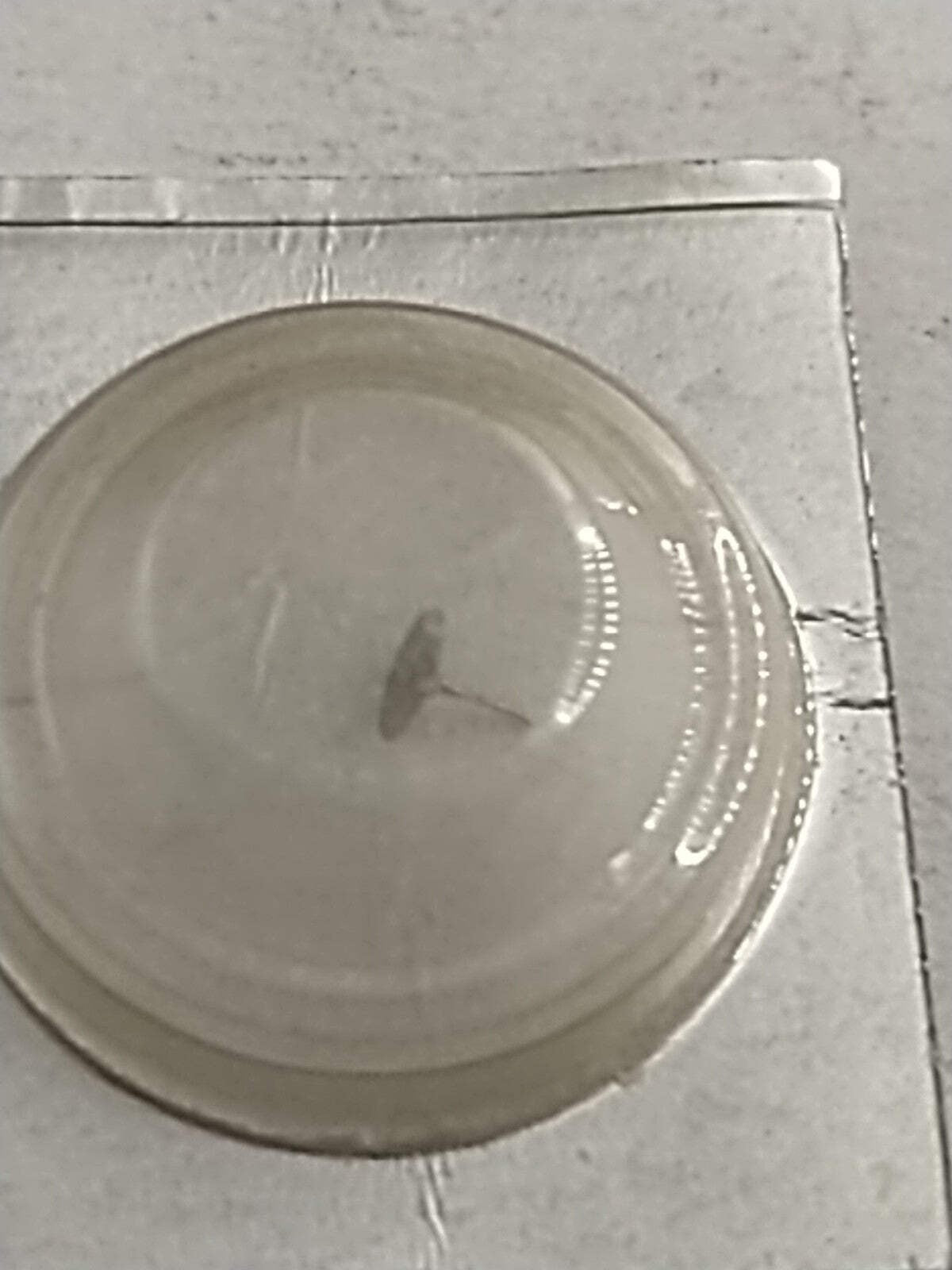 NOS Seiko Parts 241 116