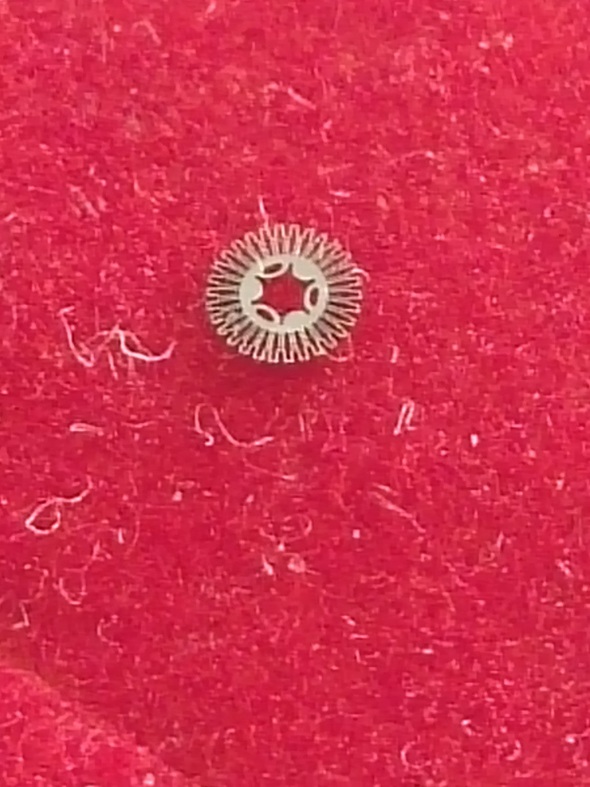 45867685