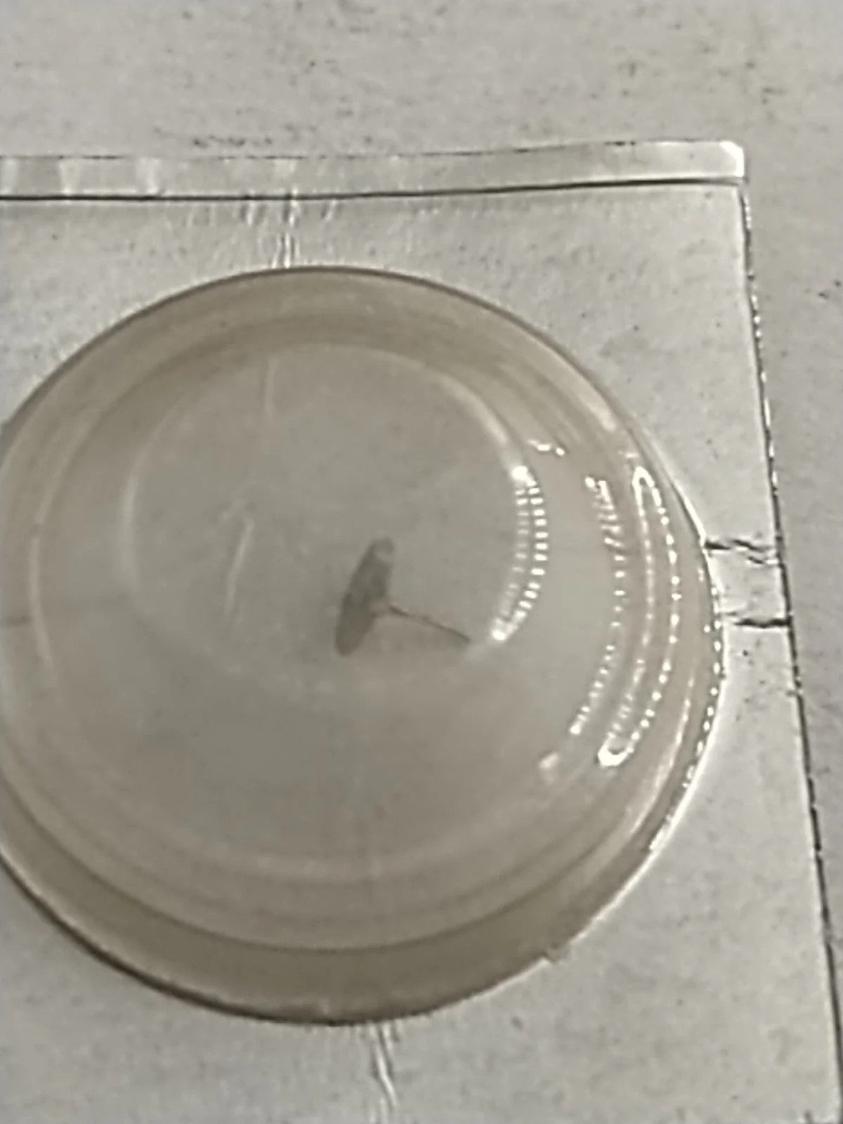 NOS Seiko Parts 241 116