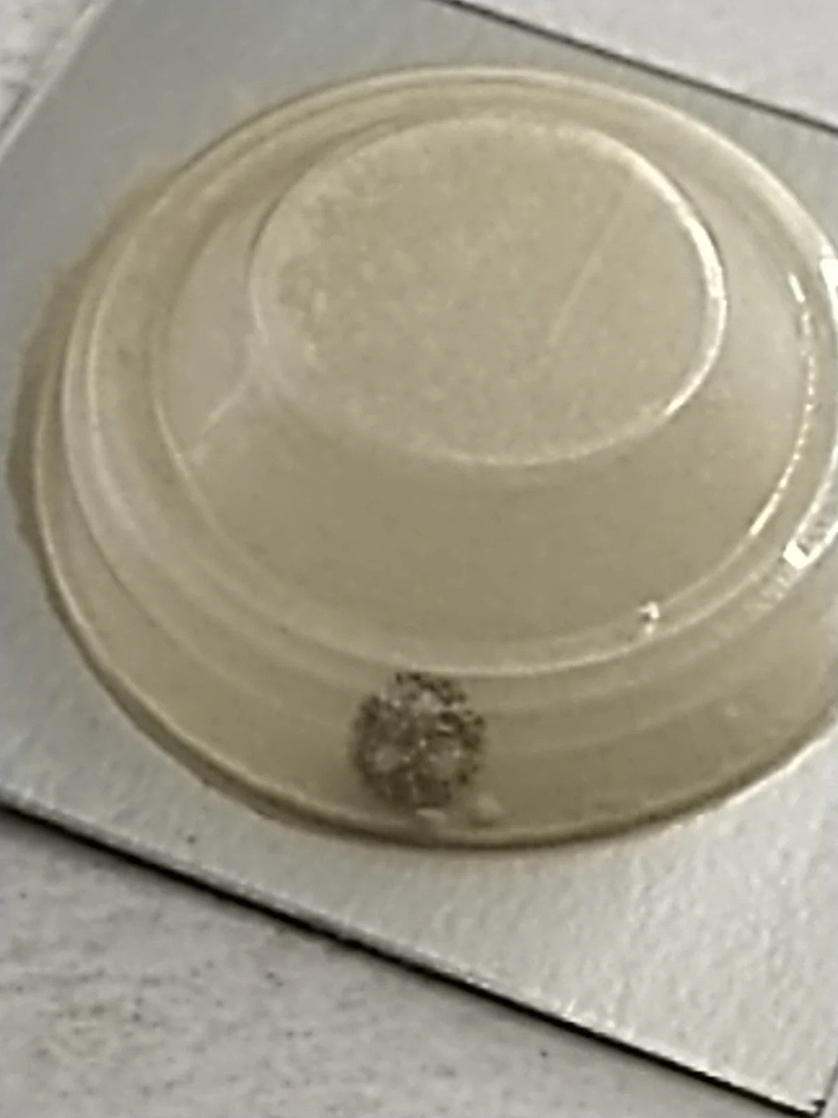 NOS Seiko Parts 231 715