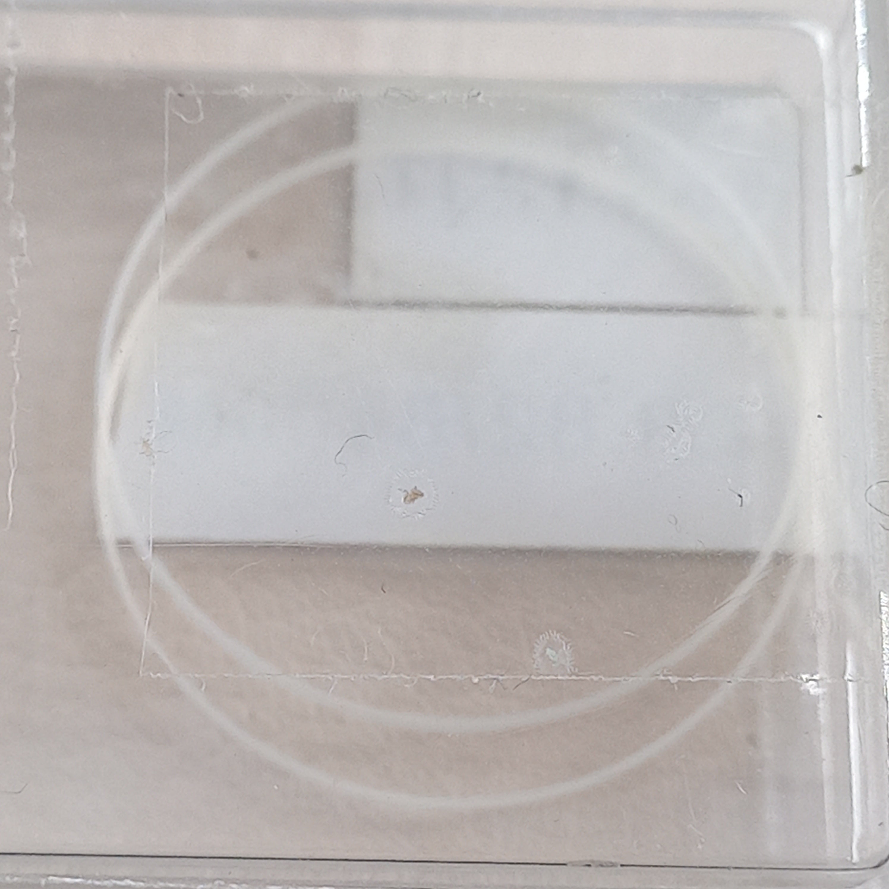 GUCCI Watch GLASS Gasket – Ref. 155.12JT / VER.82 / 8400M