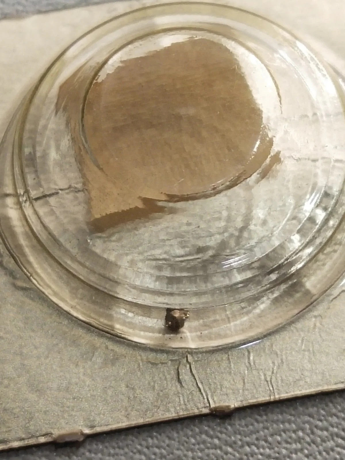 NOS Seiko Step Rotor Parts 4146 560/(1pc