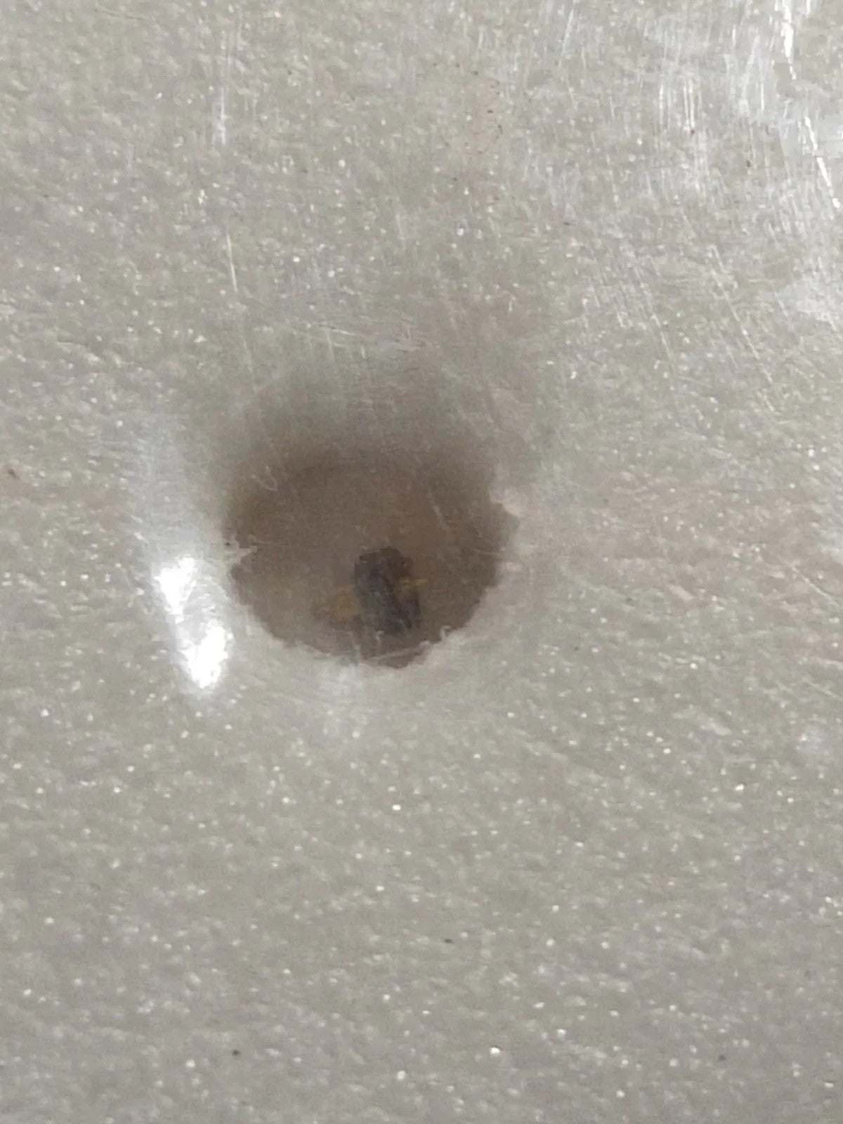 NOS Seiko Step Rotor Parts 4146 533/(1pc