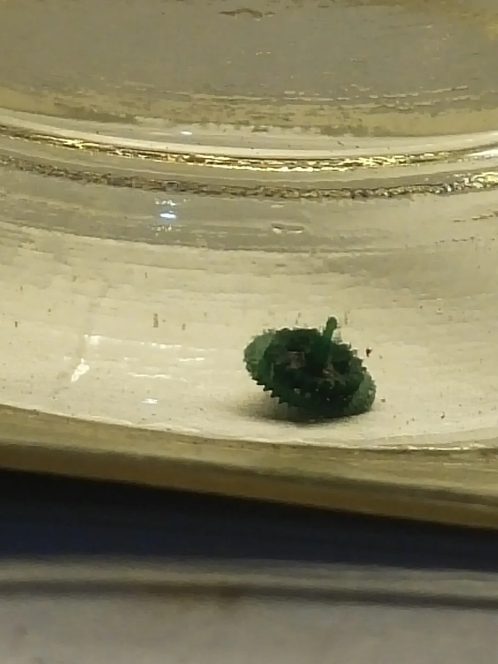 NOS Seiko part 885 592