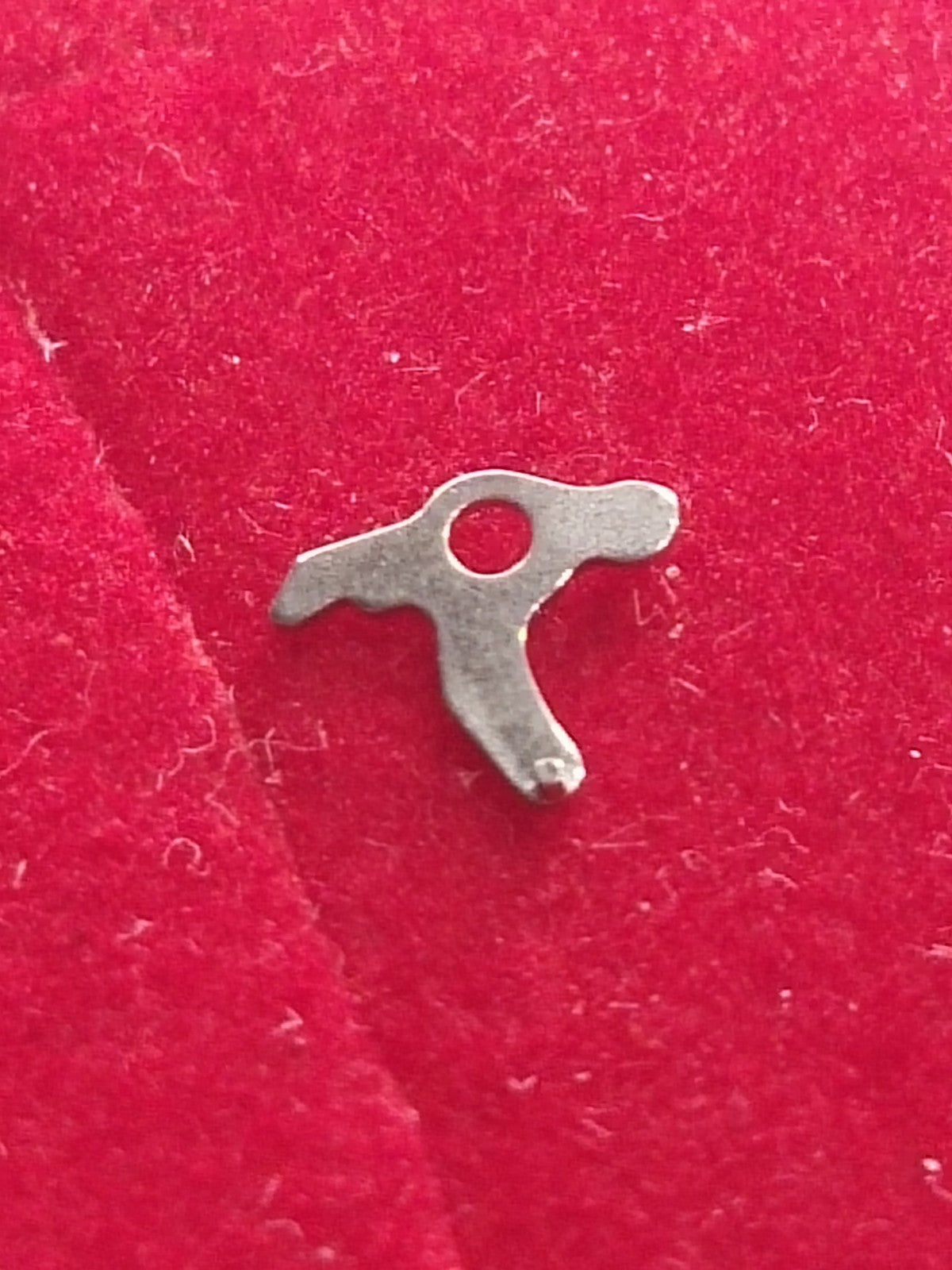 45866570