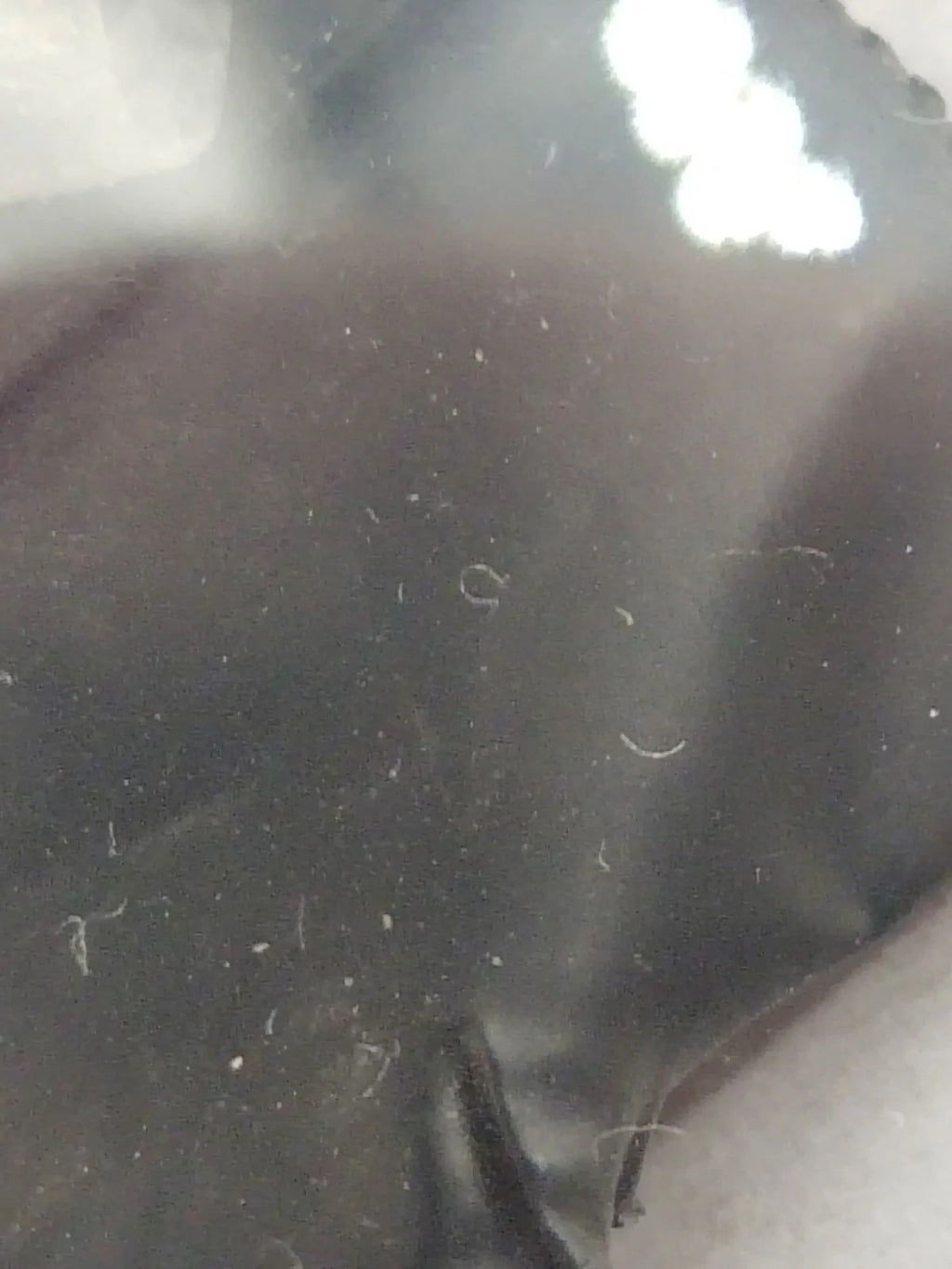 NOS Original Omega acrylic glass / Gold Tension Ring /With logo