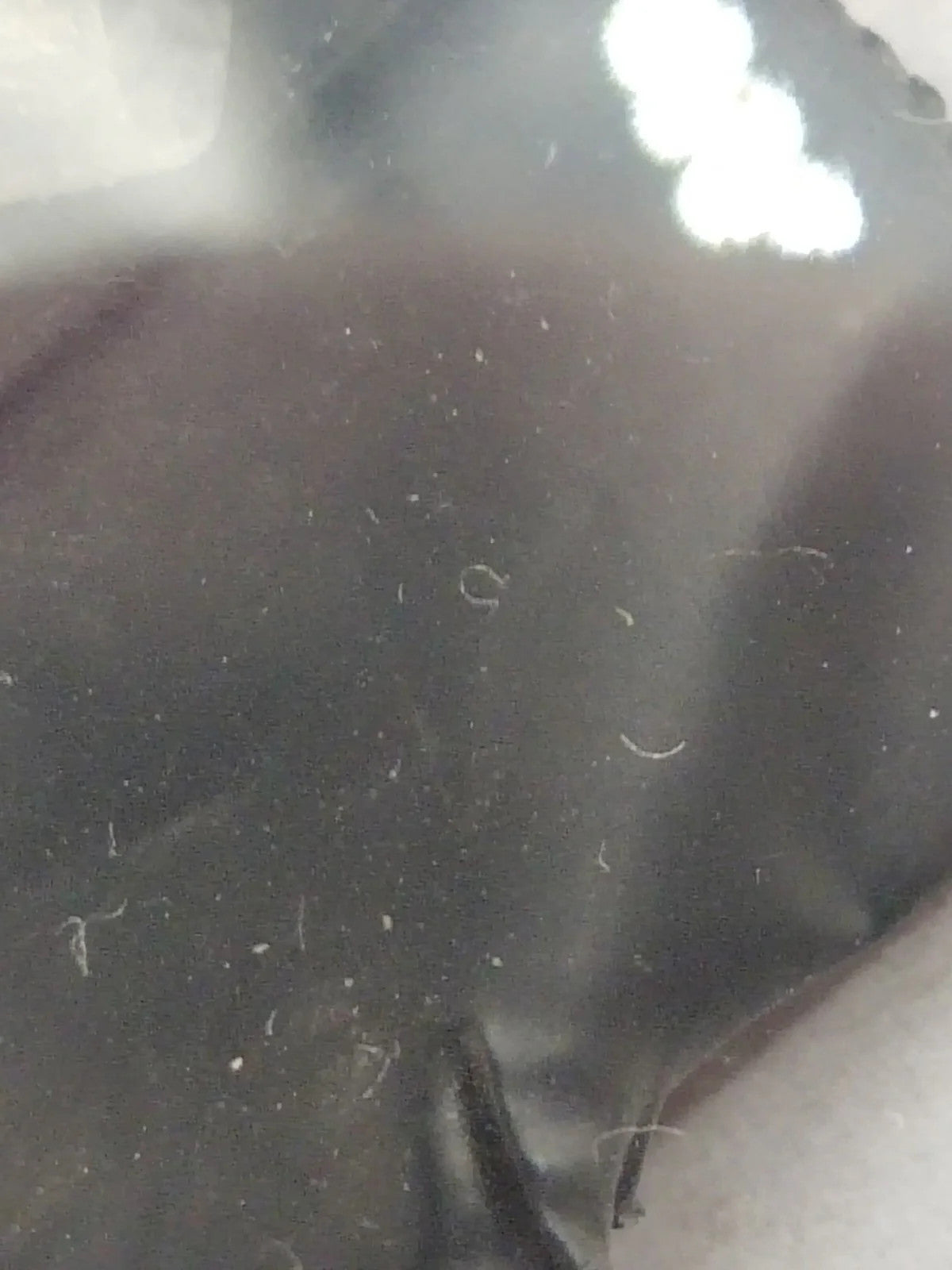 NOS Original Omega acrylic glass / Gold Tension Ring /With logo