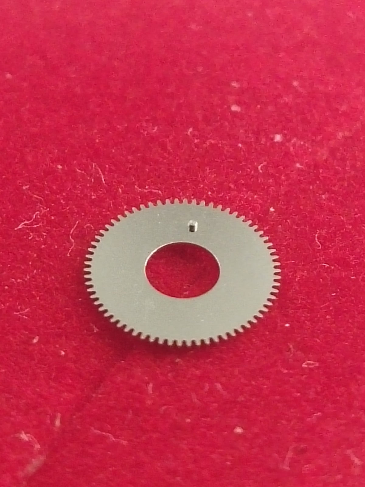 45866702