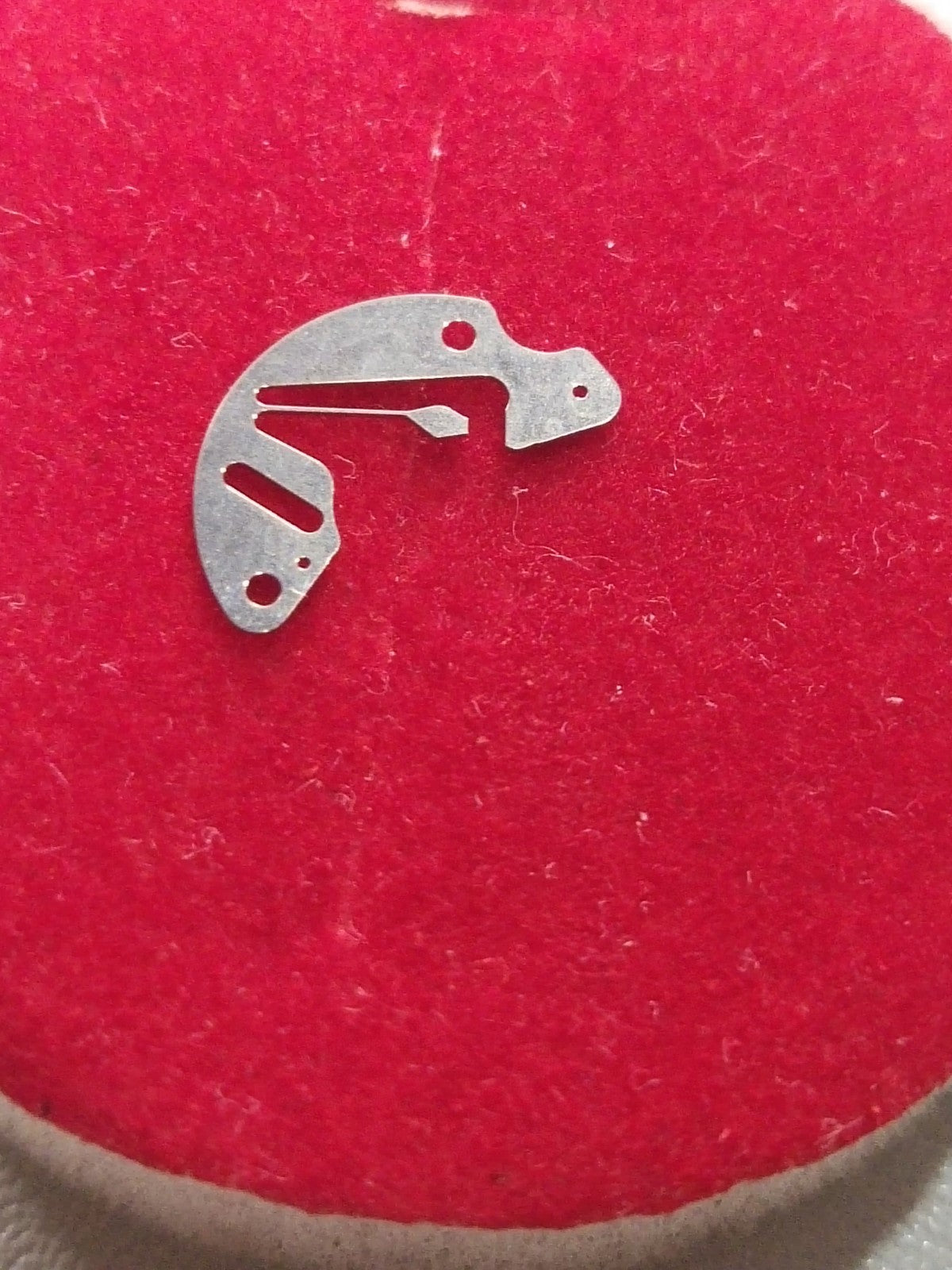 45866557