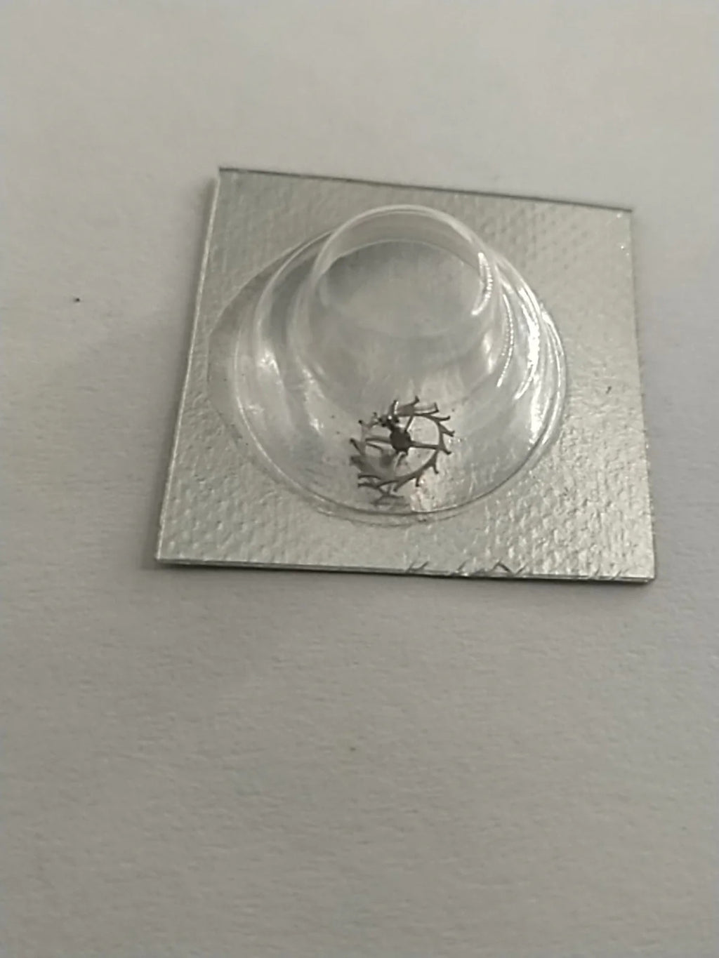 New Old Stock Original Seiko Part's Escape Wheel 251 570