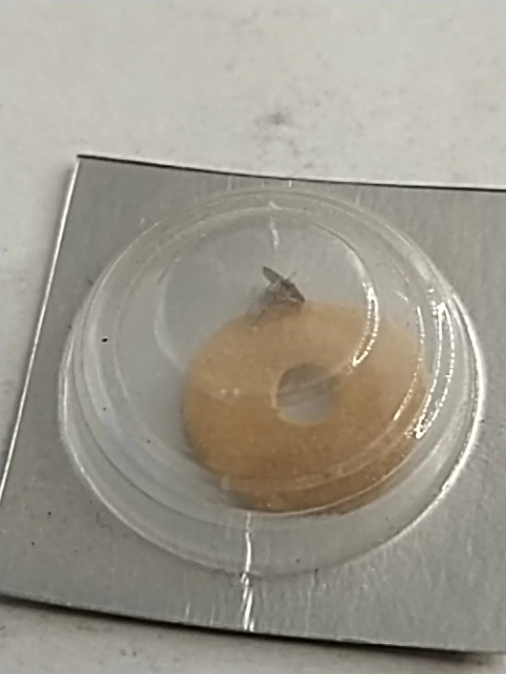 NOS Seiko Parts 902 580