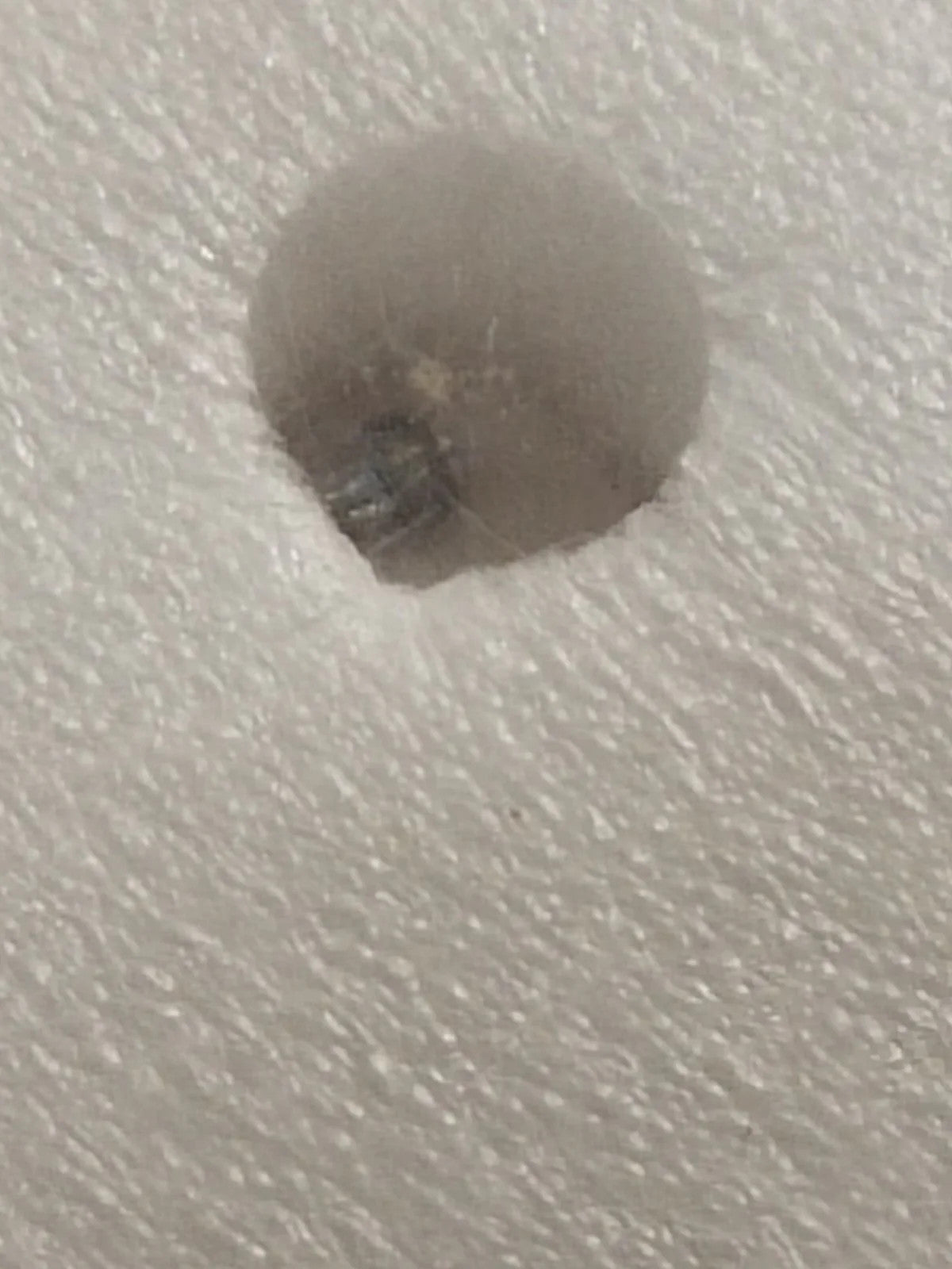 NOS Seiko Step Rotor Parts 4146 496/(1pc