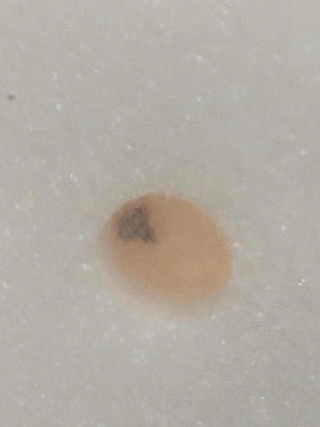 NOS Seiko Step Rotor Parts 4146 212/(1pc