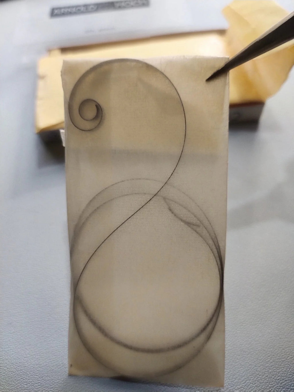 Certina original main spring Cal. 262/263 Part. 5017