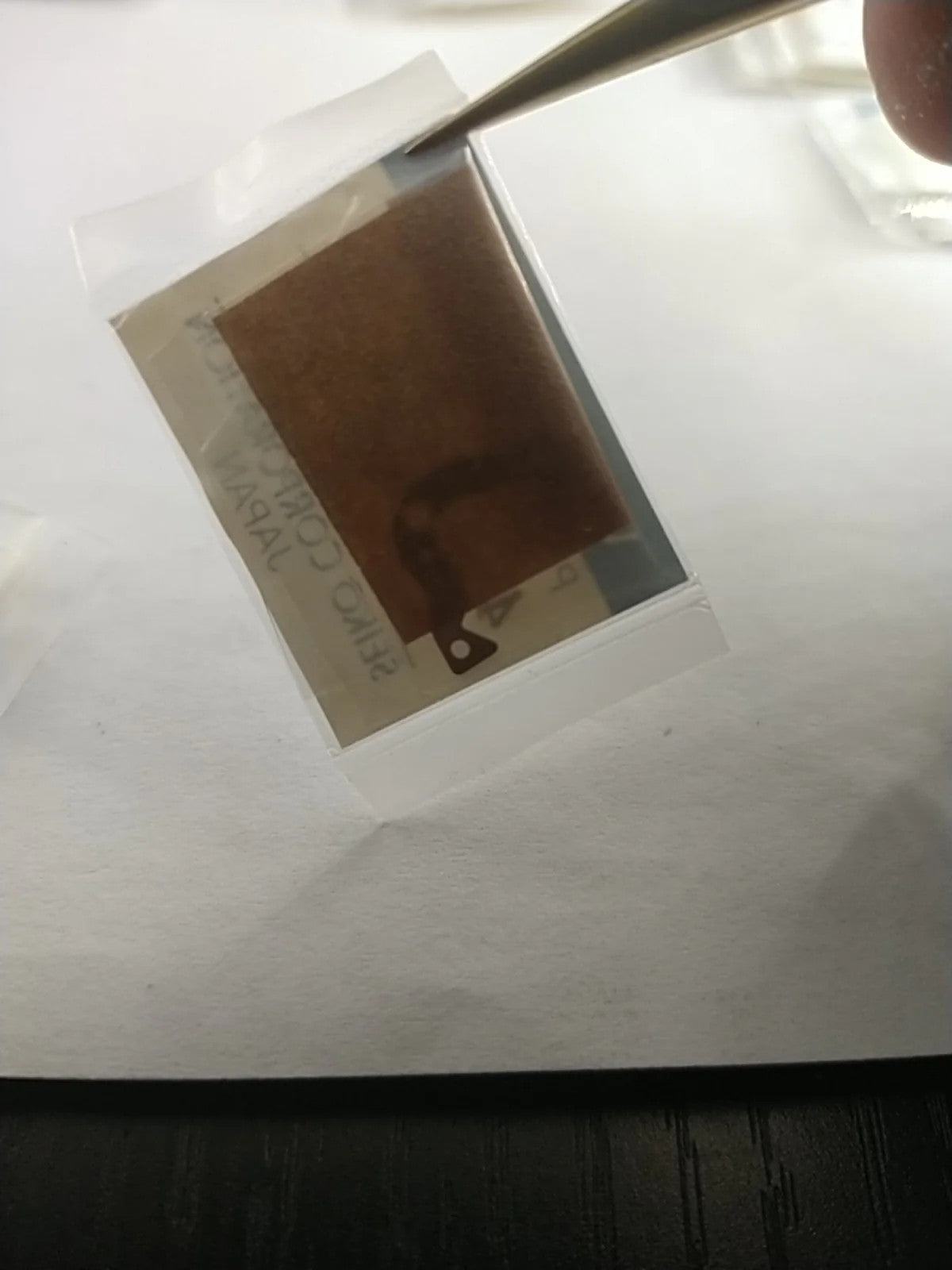 ORIGINAL SEIKO Part 4239 518 Rotor Stator