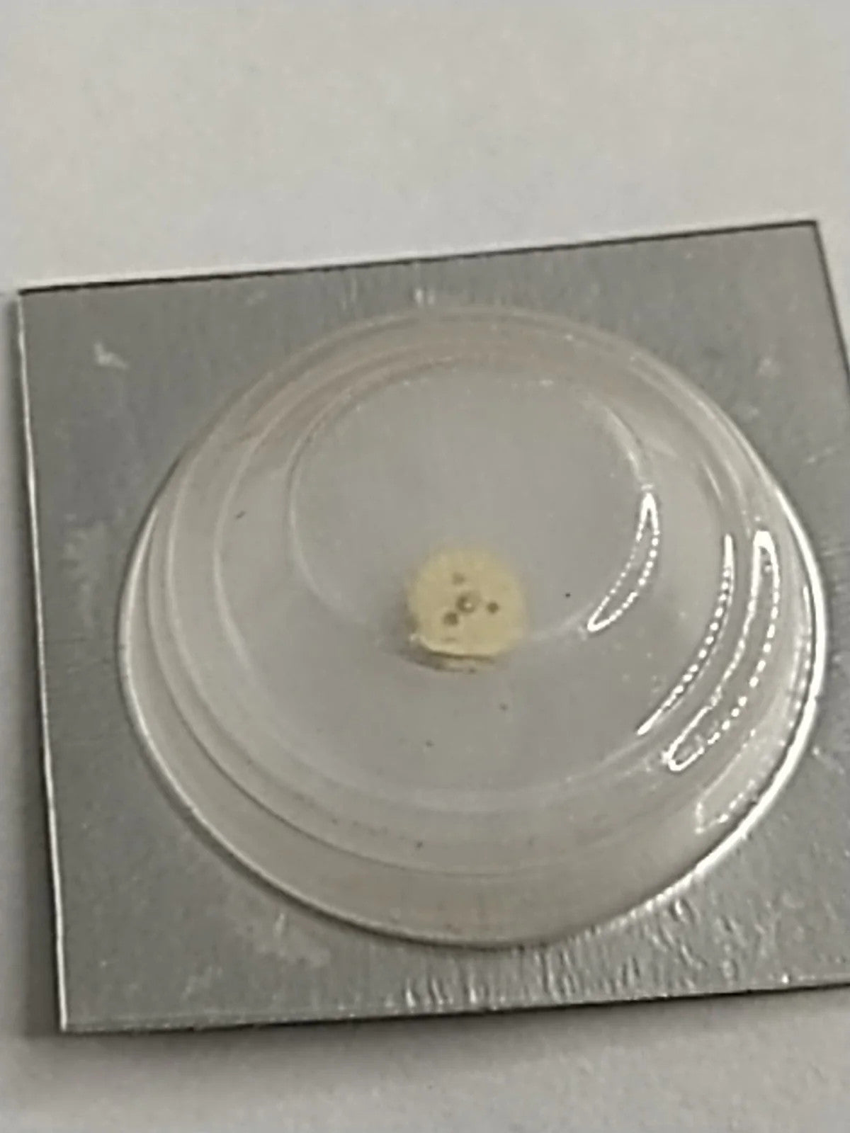 NOS Seiko Parts 231 855