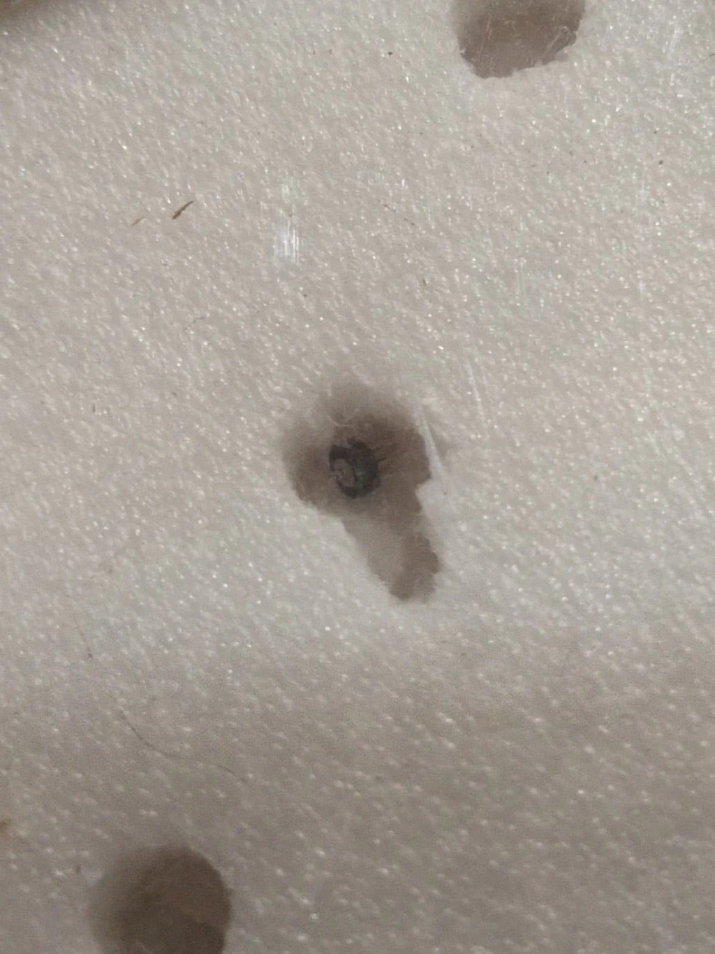 NOS Seiko Step Rotor Parts 4146 655/(1pc