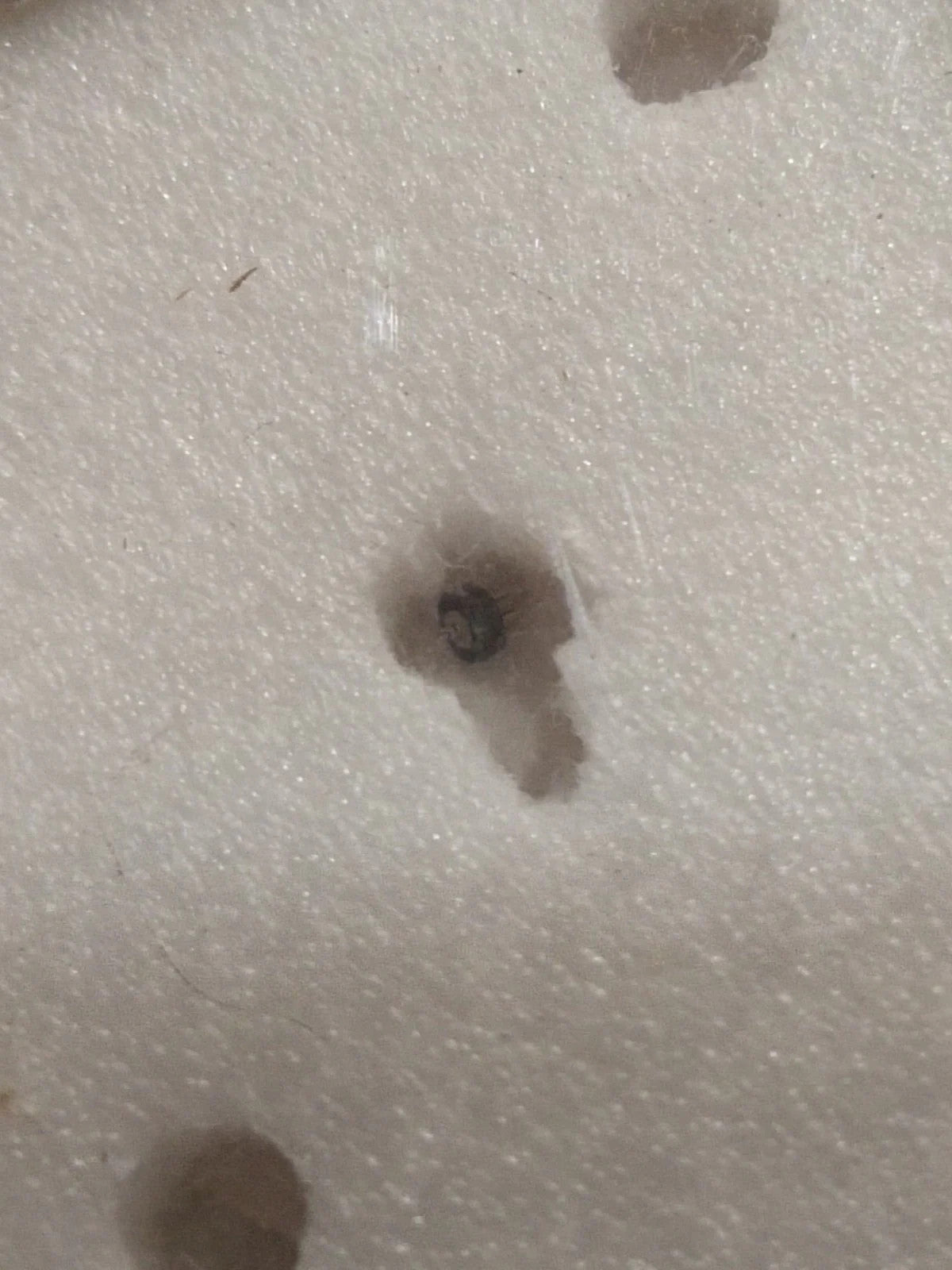 NOS Seiko Step Rotor Parts 4146 655/(1pc