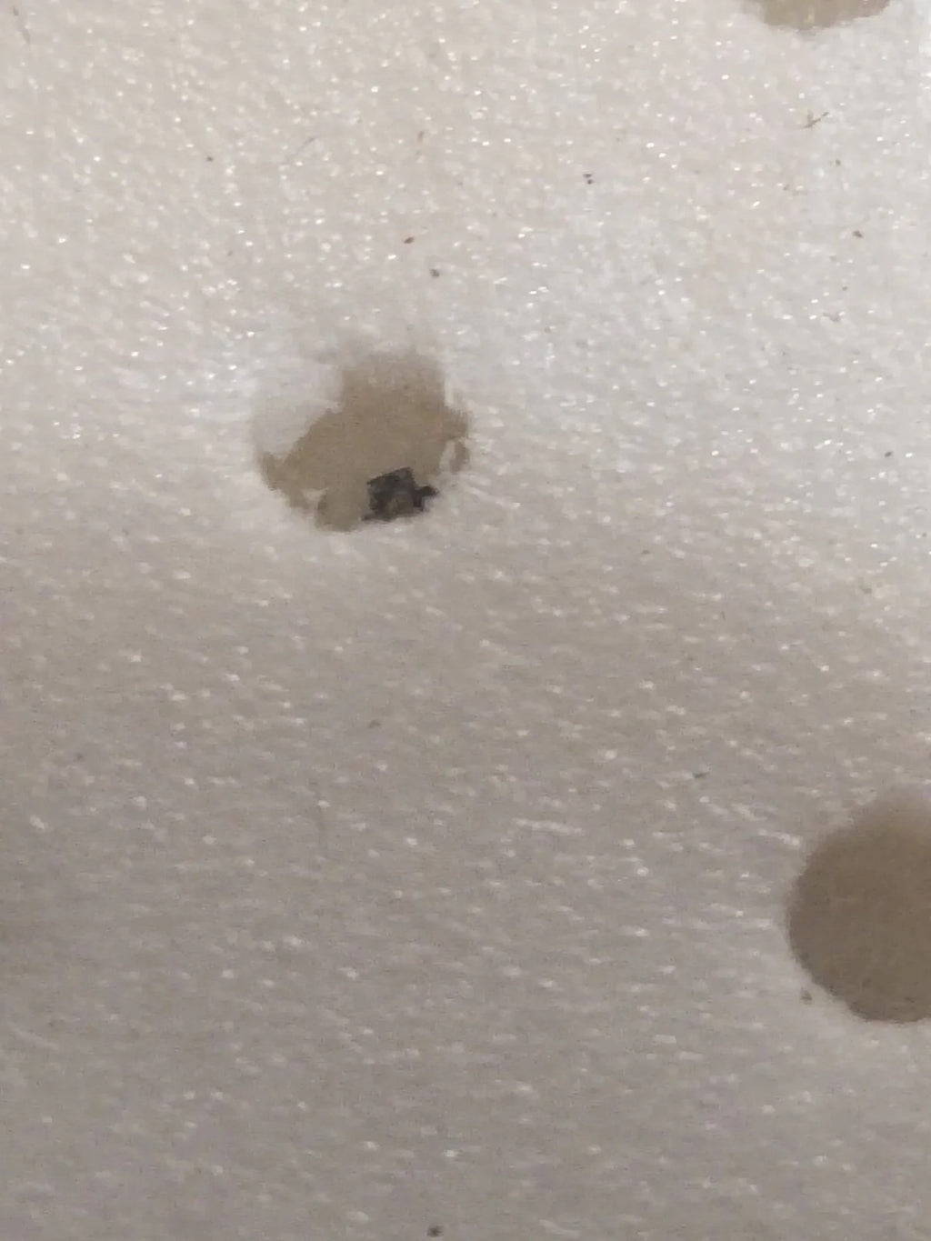 NOS Seiko Step Rotor Parts 4146 019/(1pc