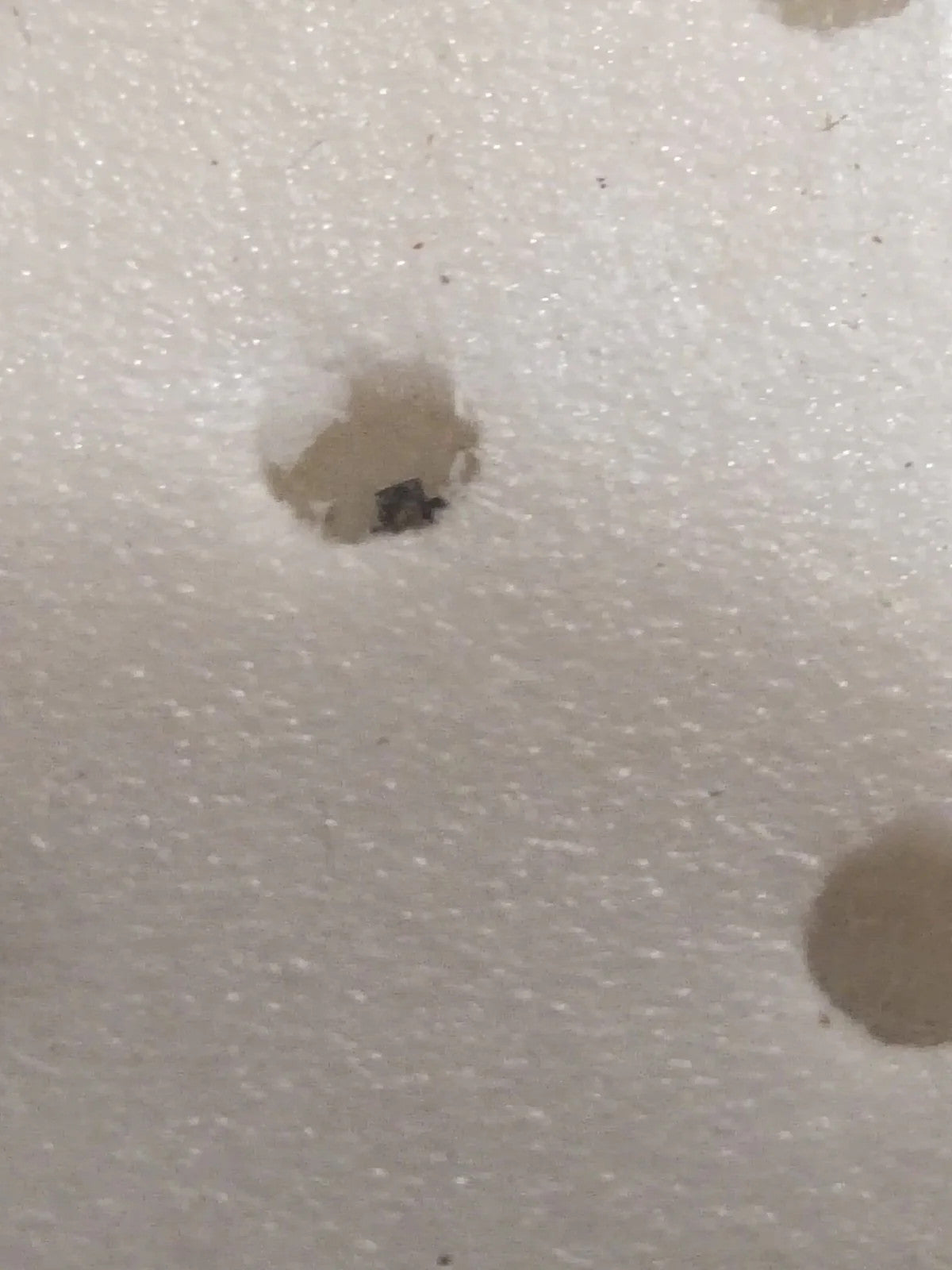 NOS Seiko Step Rotor Parts 4146 019/(1pc