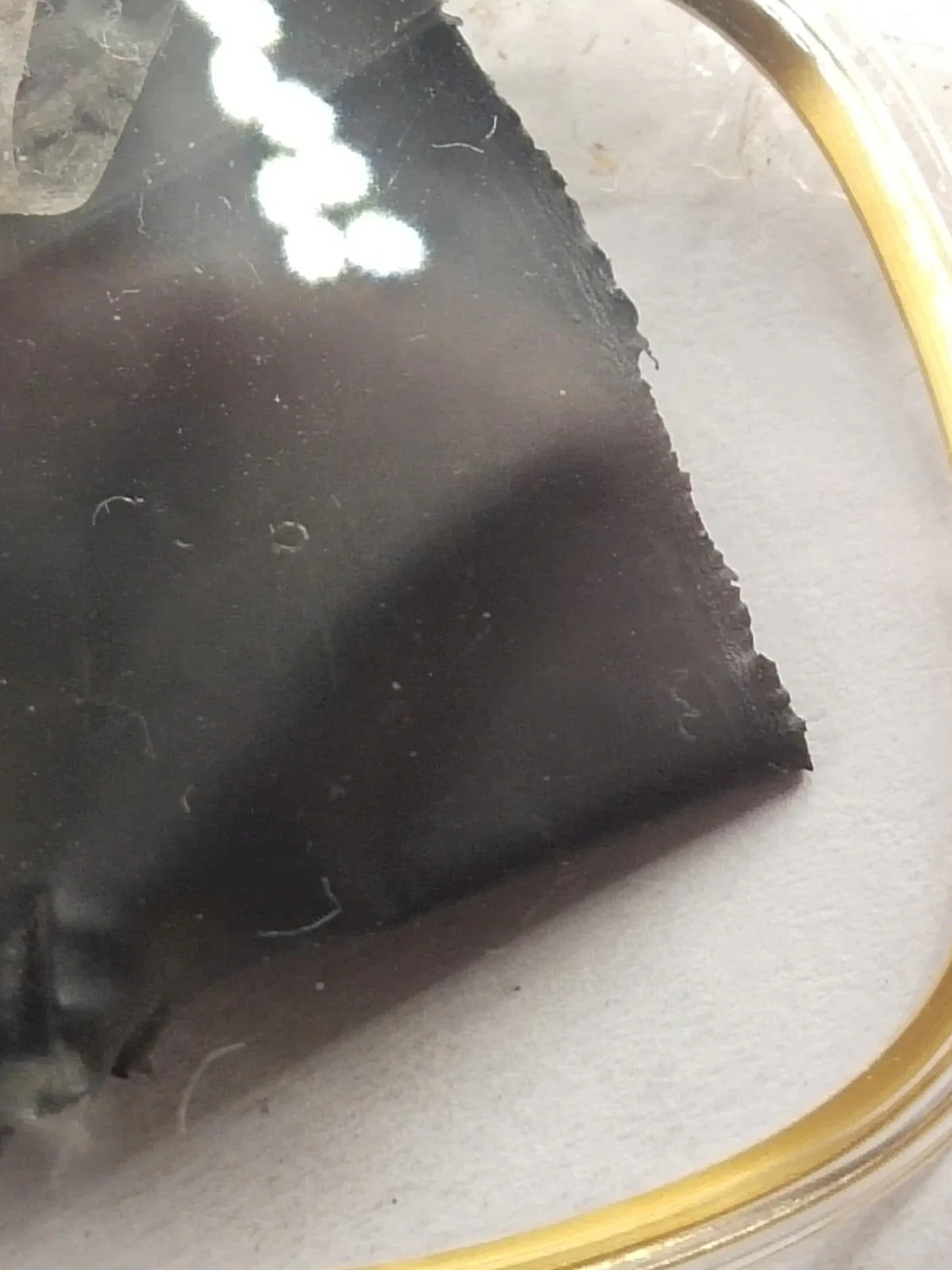 NOS Original Omega acrylic glass / Gold Tension Ring /With logo