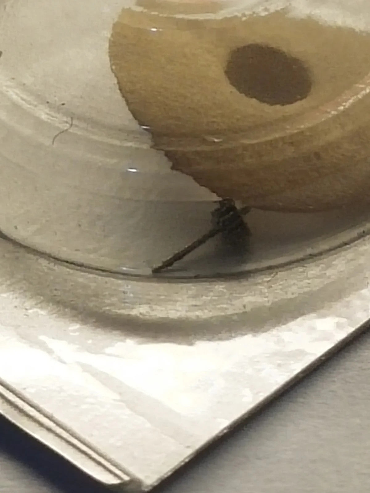 NOS Seiko Parts 888 591