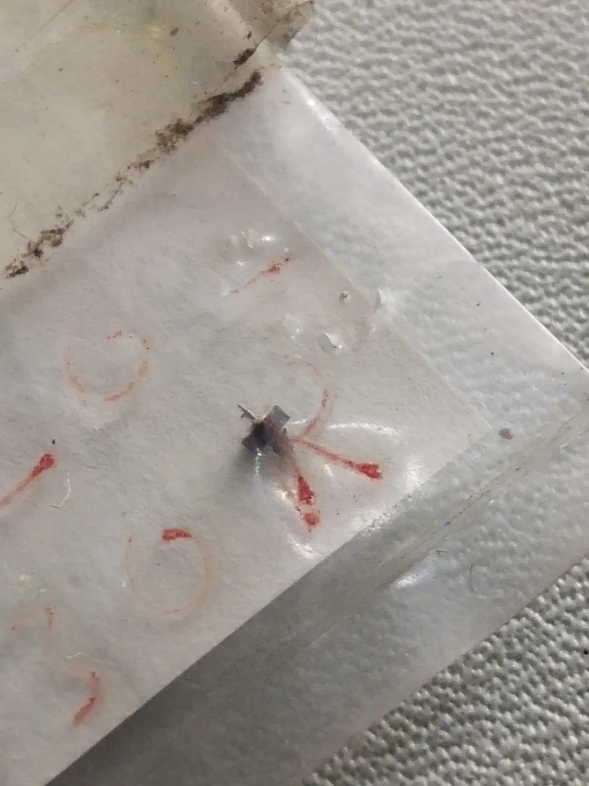 NOS Seiko Step Rotor Parts 4146 810/(1pc