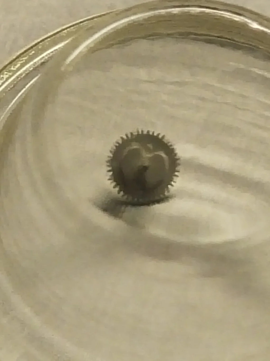 NOS Seiko part 885 595