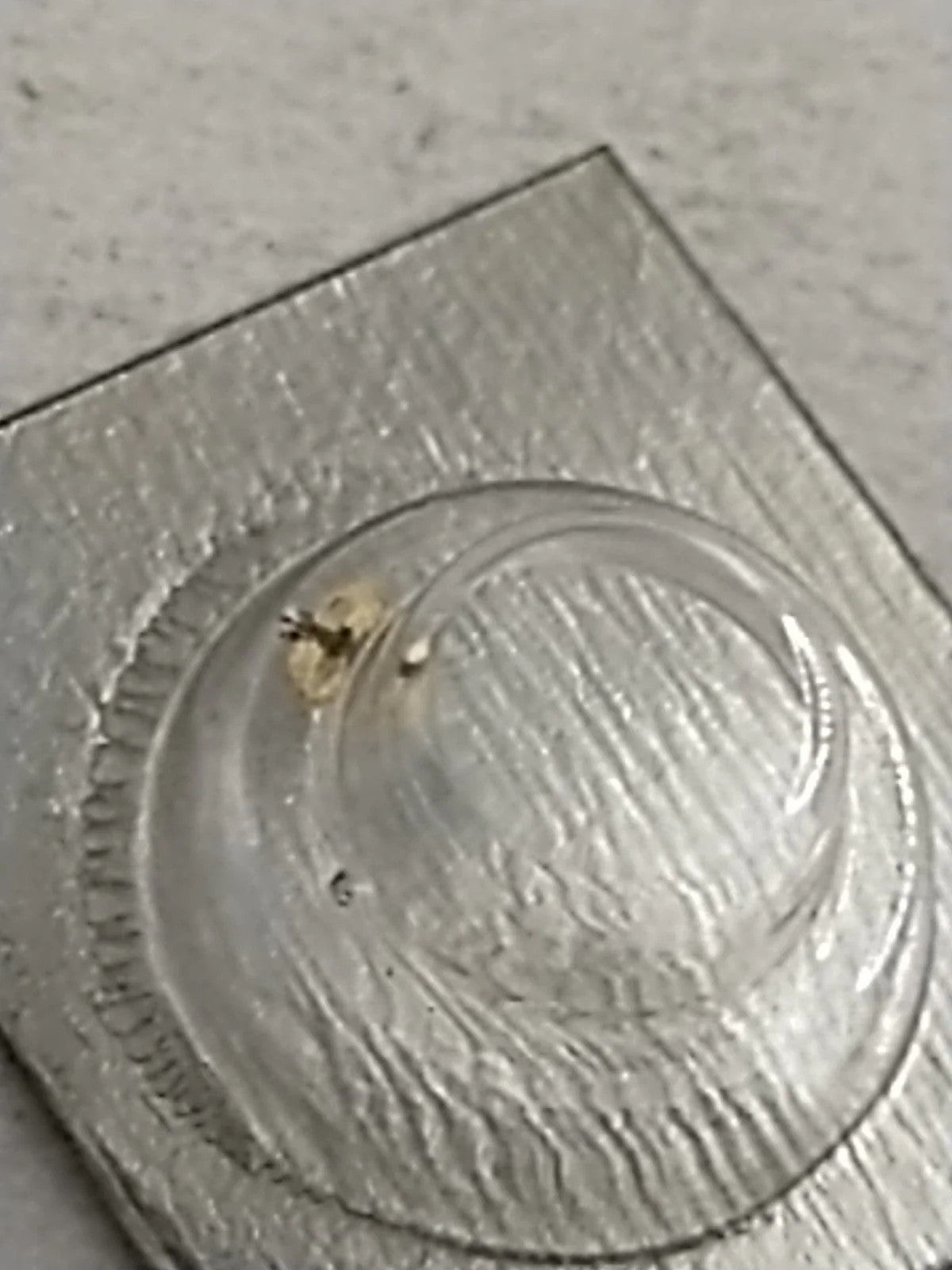 NOS Seiko Parts 231 770