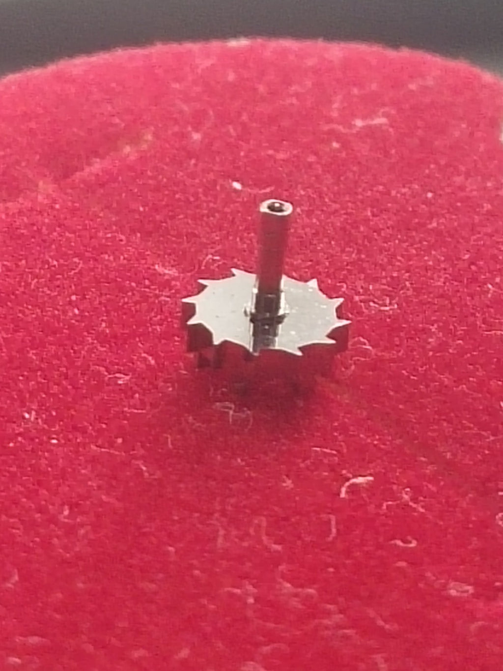 45867682