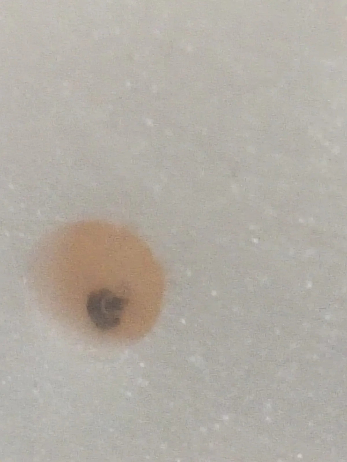 NOS Seiko Step Rotor Parts 4146 212/(1pc