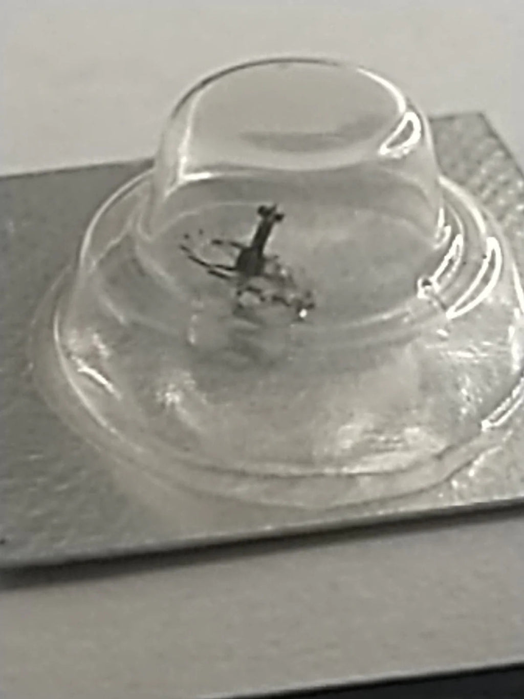 New Old Stock Original Seiko Part's Escape Wheel 251 570