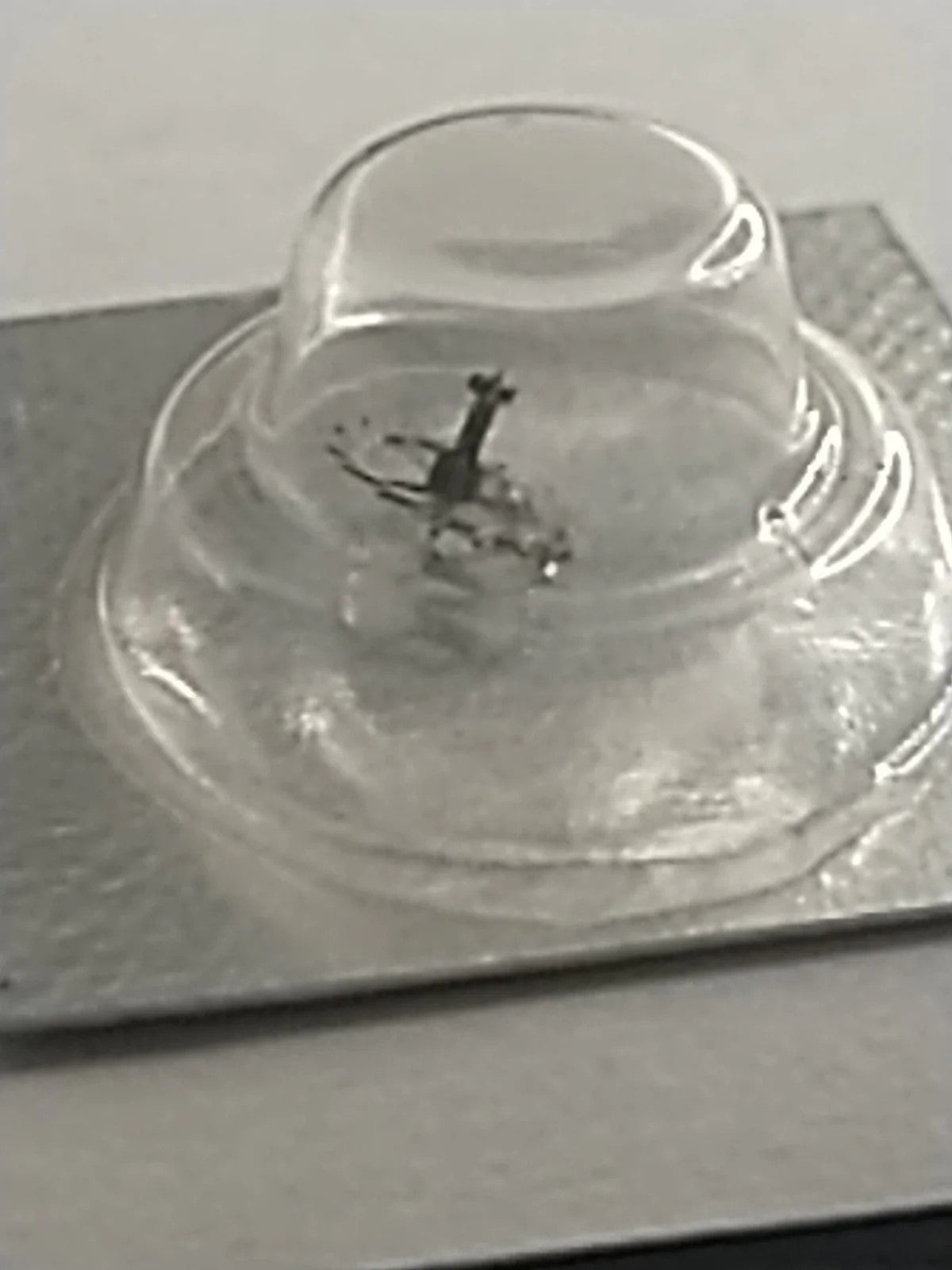 New Old Stock Original Seiko Part's Escape Wheel 251 570