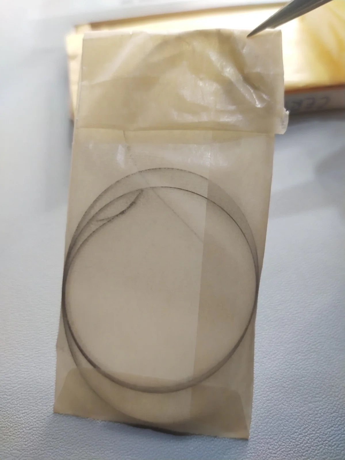 Certina original main spring Cal. 262/263 Part. 5017