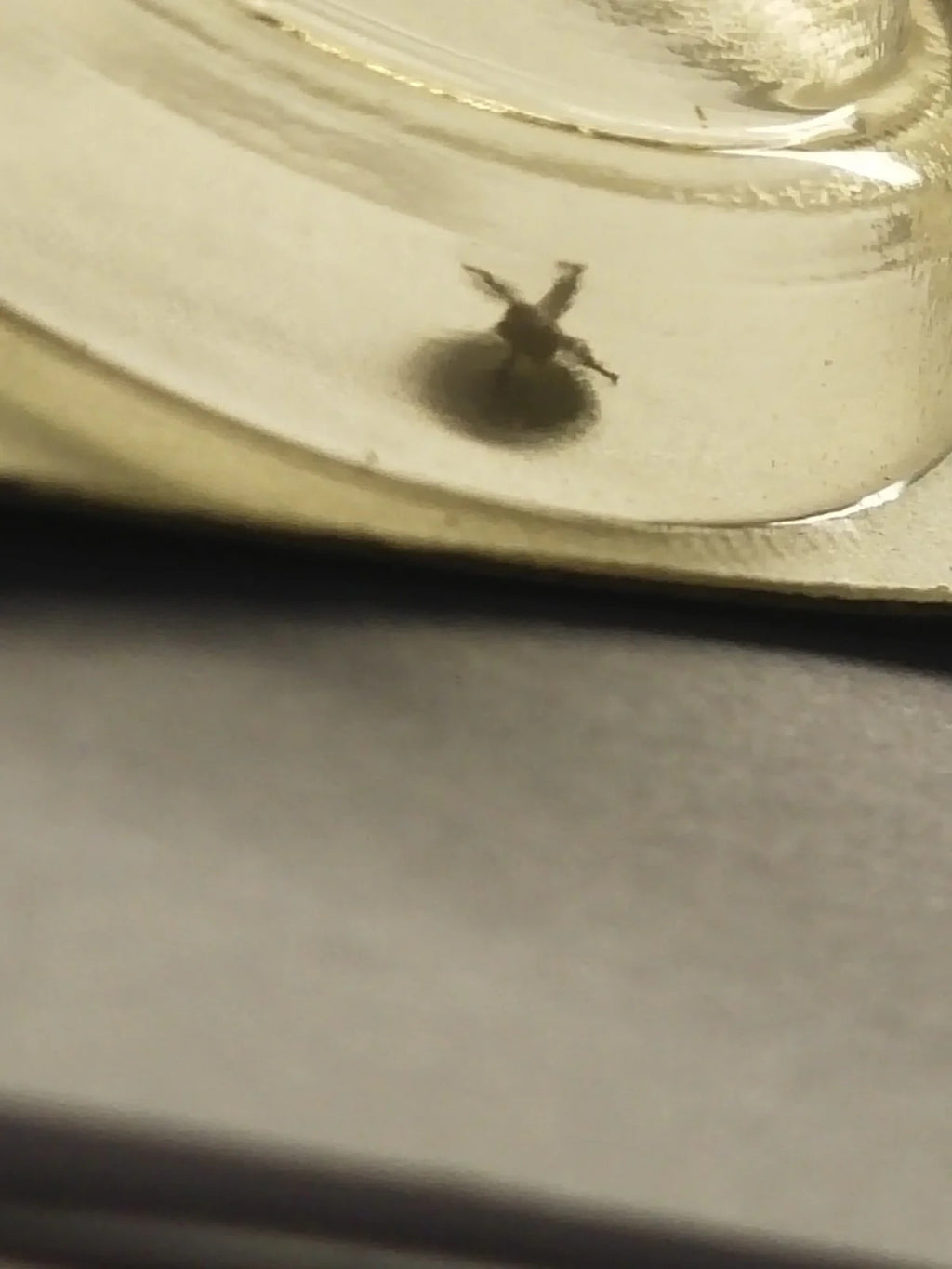 NOS Seiko part 885 595