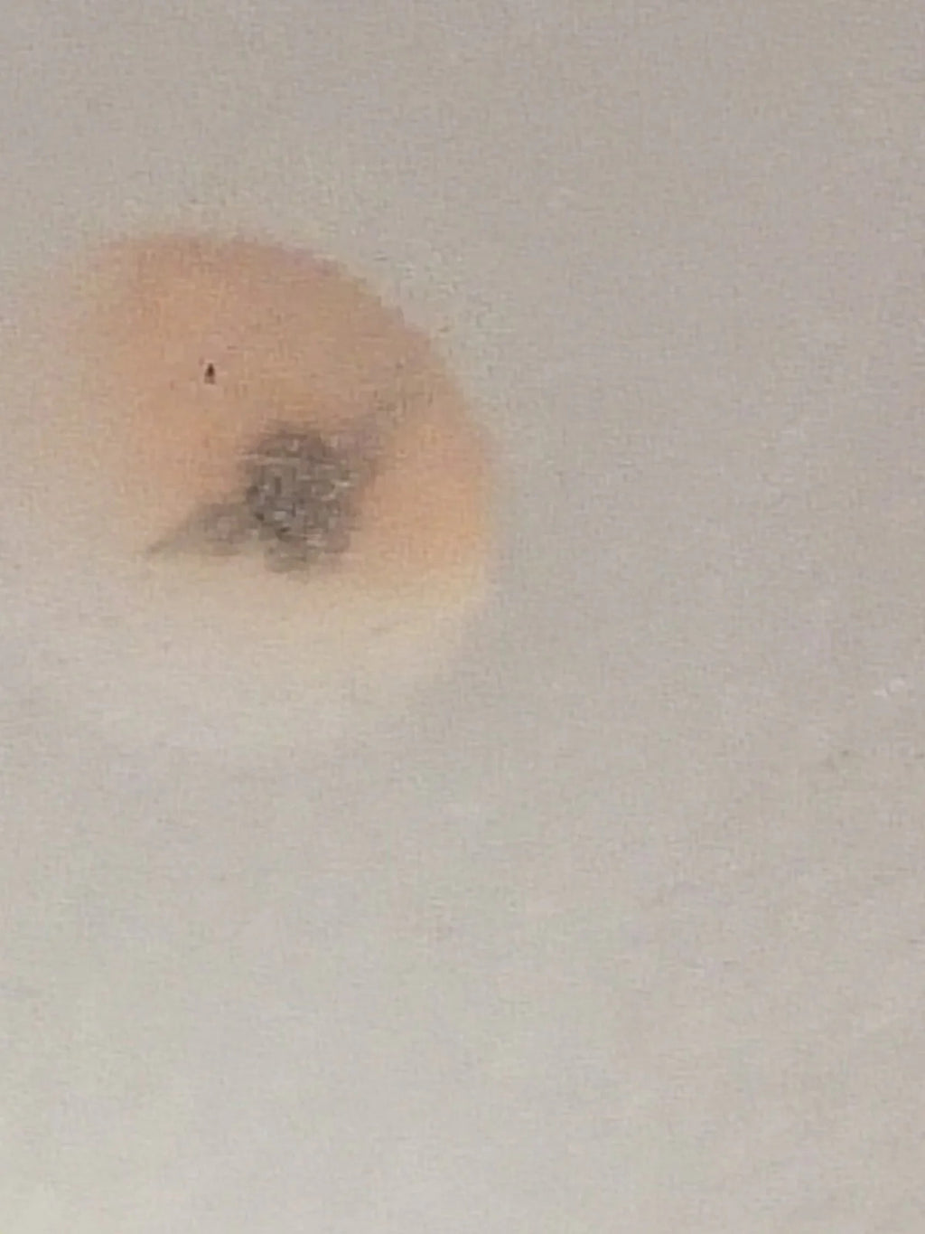 NOS Seiko Step Rotor Parts 4146 725/(1pc