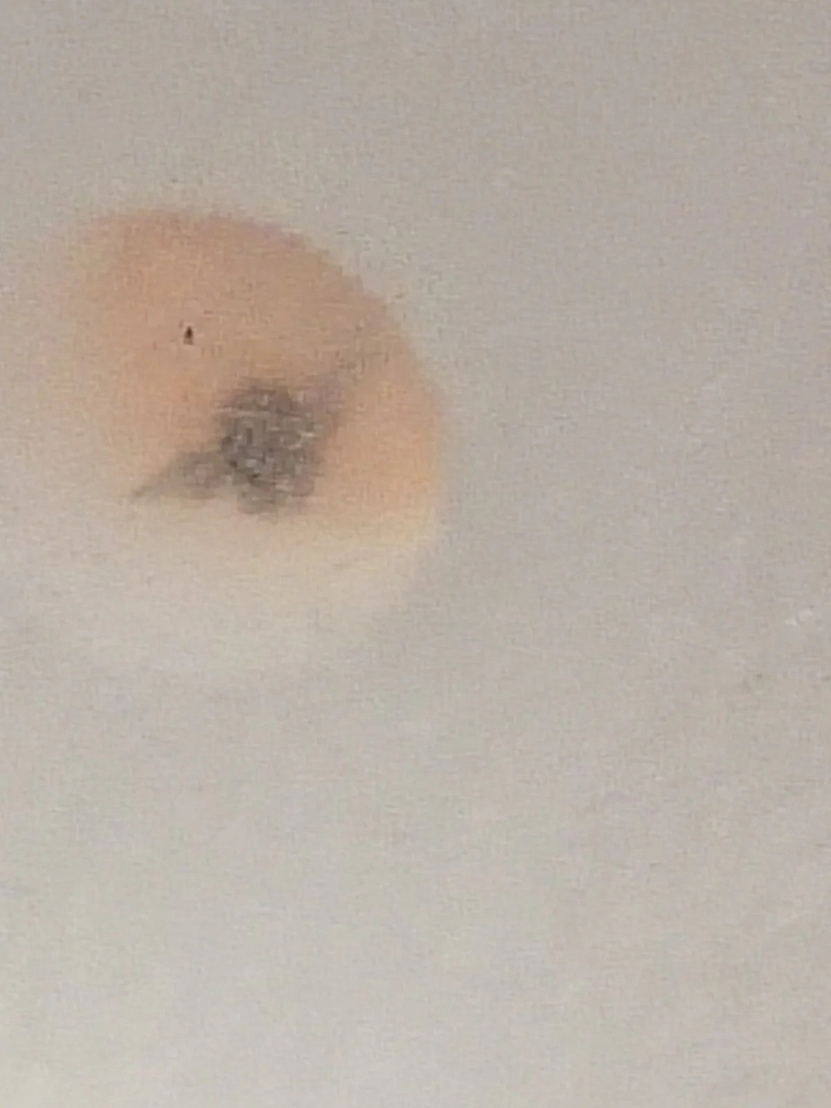 NOS Seiko Step Rotor Parts 4146 725/(1pc