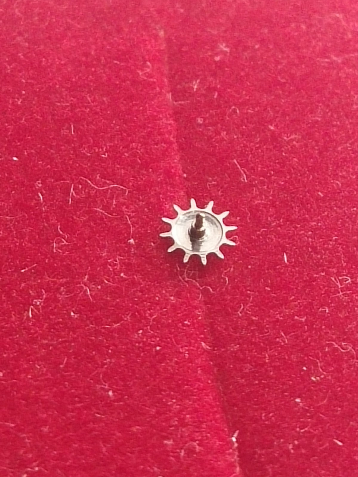 45866588