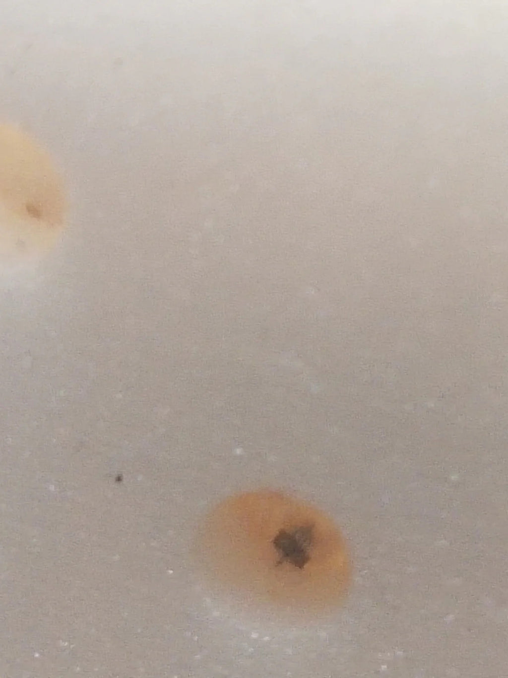 NOS Seiko Step Rotor Parts 4146 370/(1pc