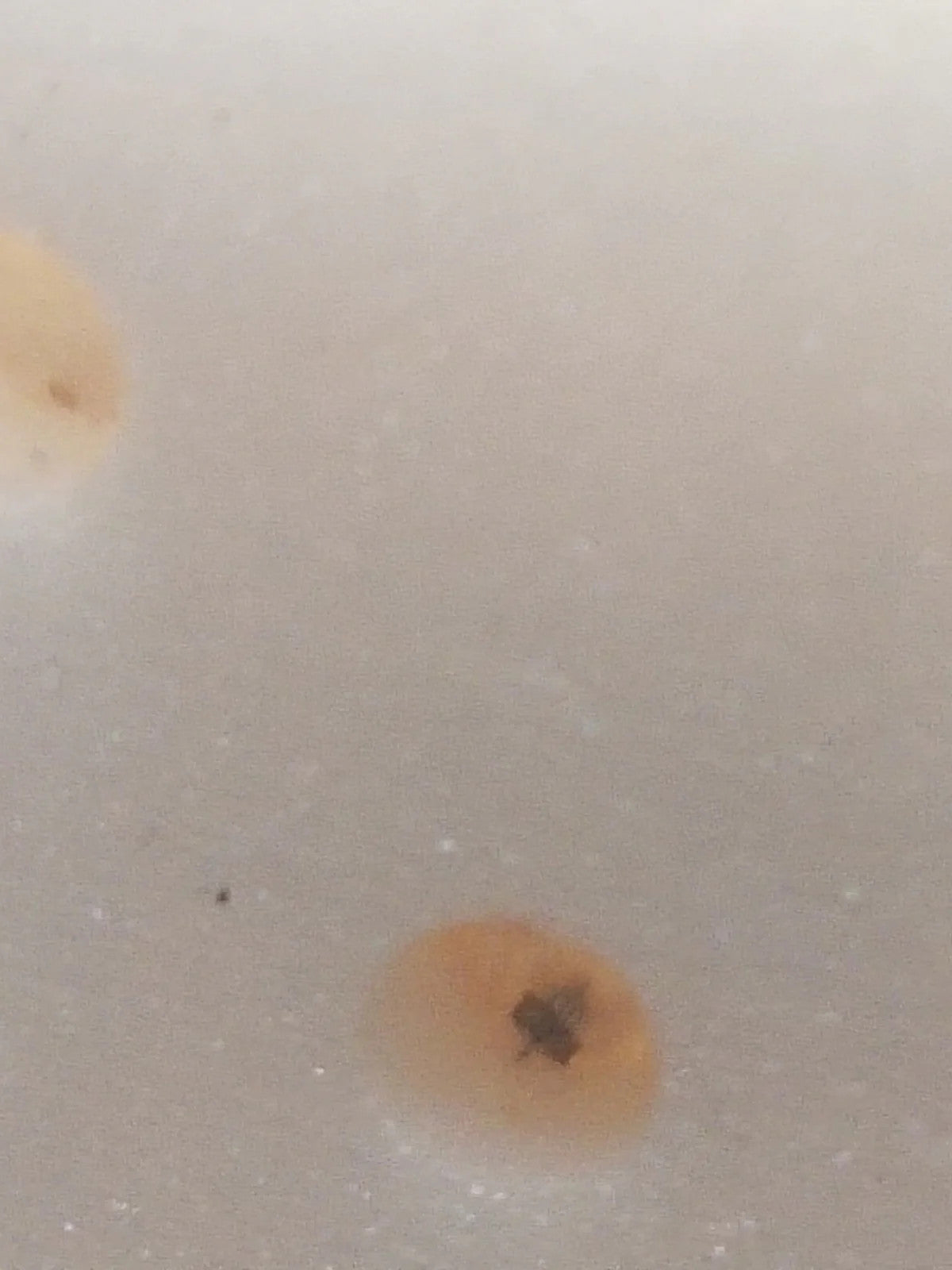 NOS Seiko Step Rotor Parts 4146 370/(1pc