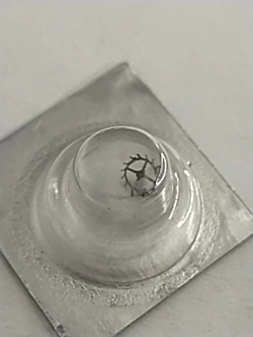 New Old Stock Original Seiko 11A Part's Escape Wheel 251 180