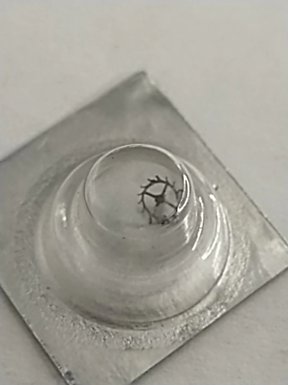 New Old Stock Original Seiko 11A Part's Escape Wheel 251 180