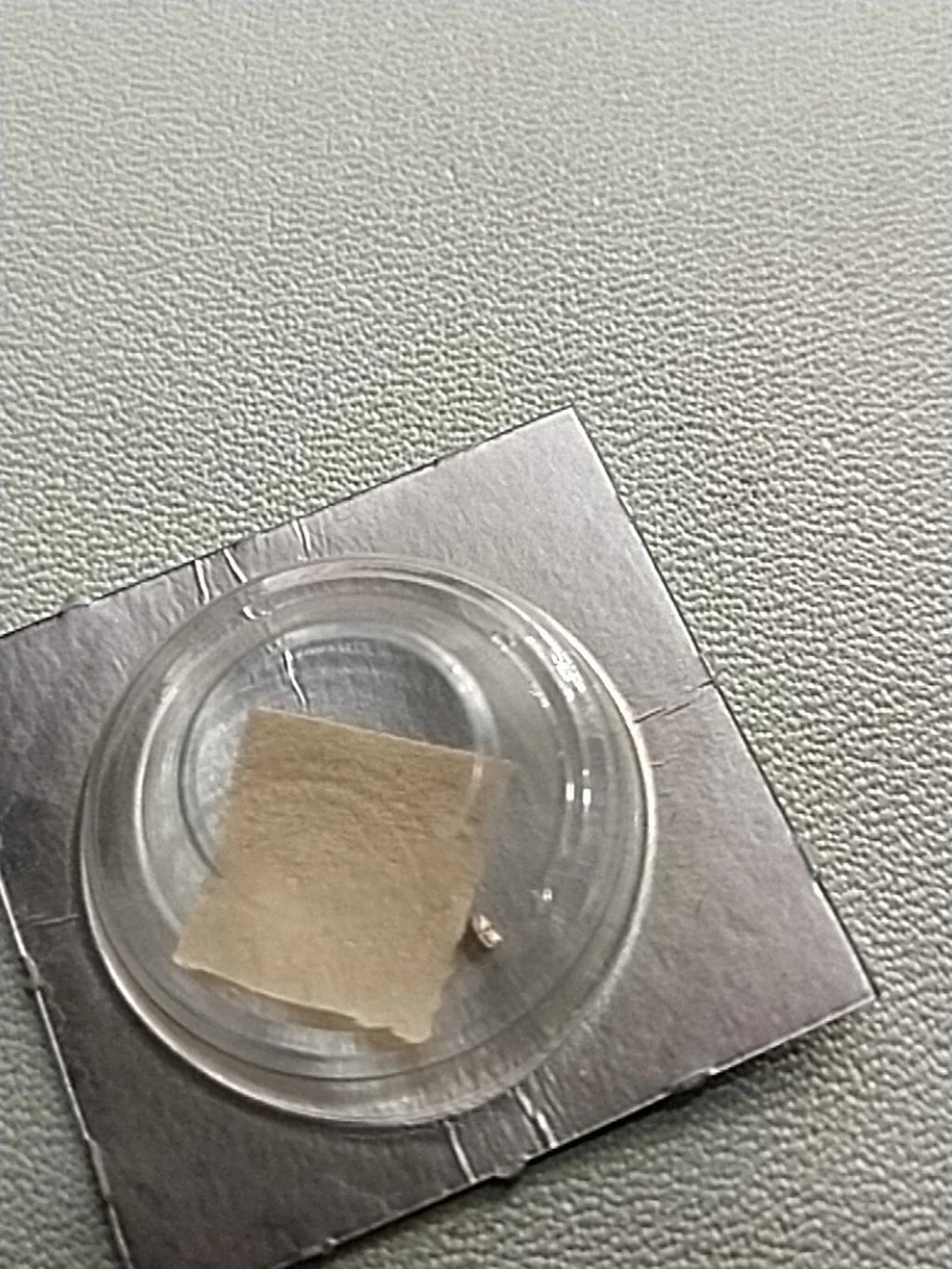 NOS Seiko Step Rotor Parts 4146 531/(1pc