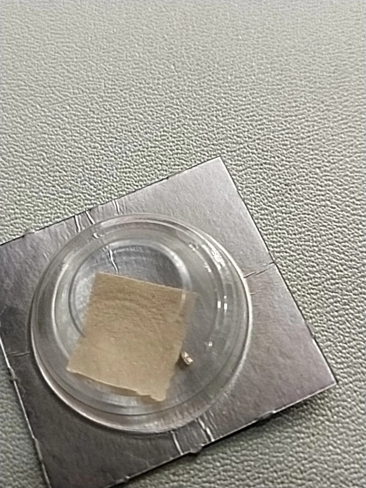 NOS Seiko Step Rotor Parts 4146 531/(1pc