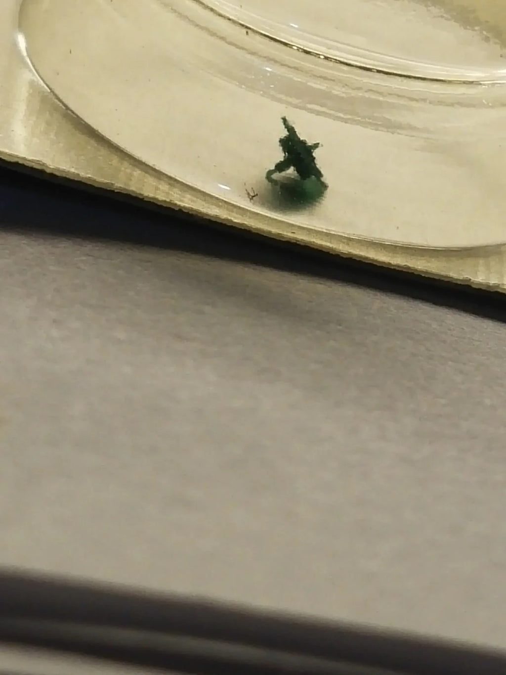 NOS Seiko part 885 594