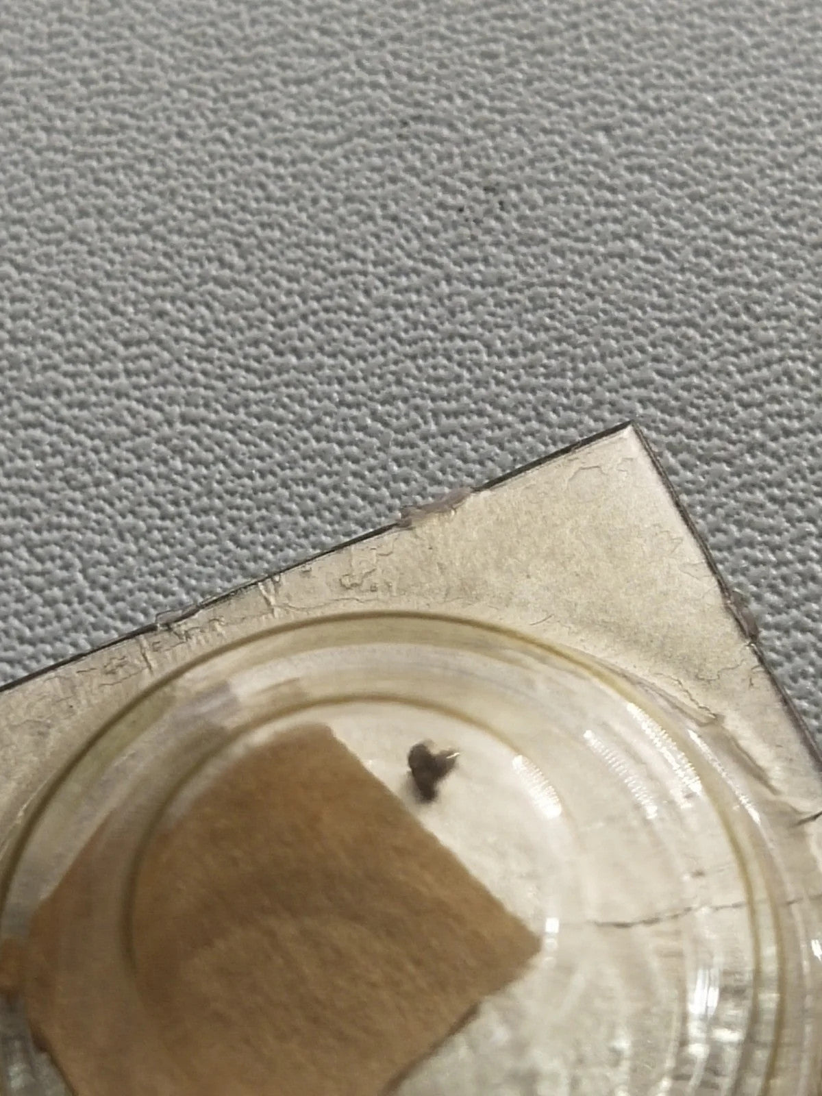 NOS Seiko Step Rotor Parts 4146 560/(1pc