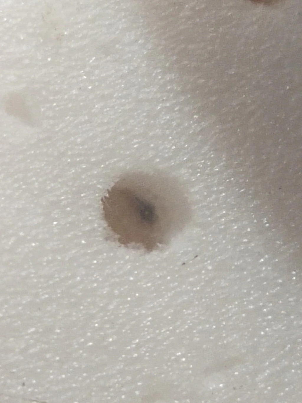 NOS Seiko Step Rotor Parts 4146 031/(1pc