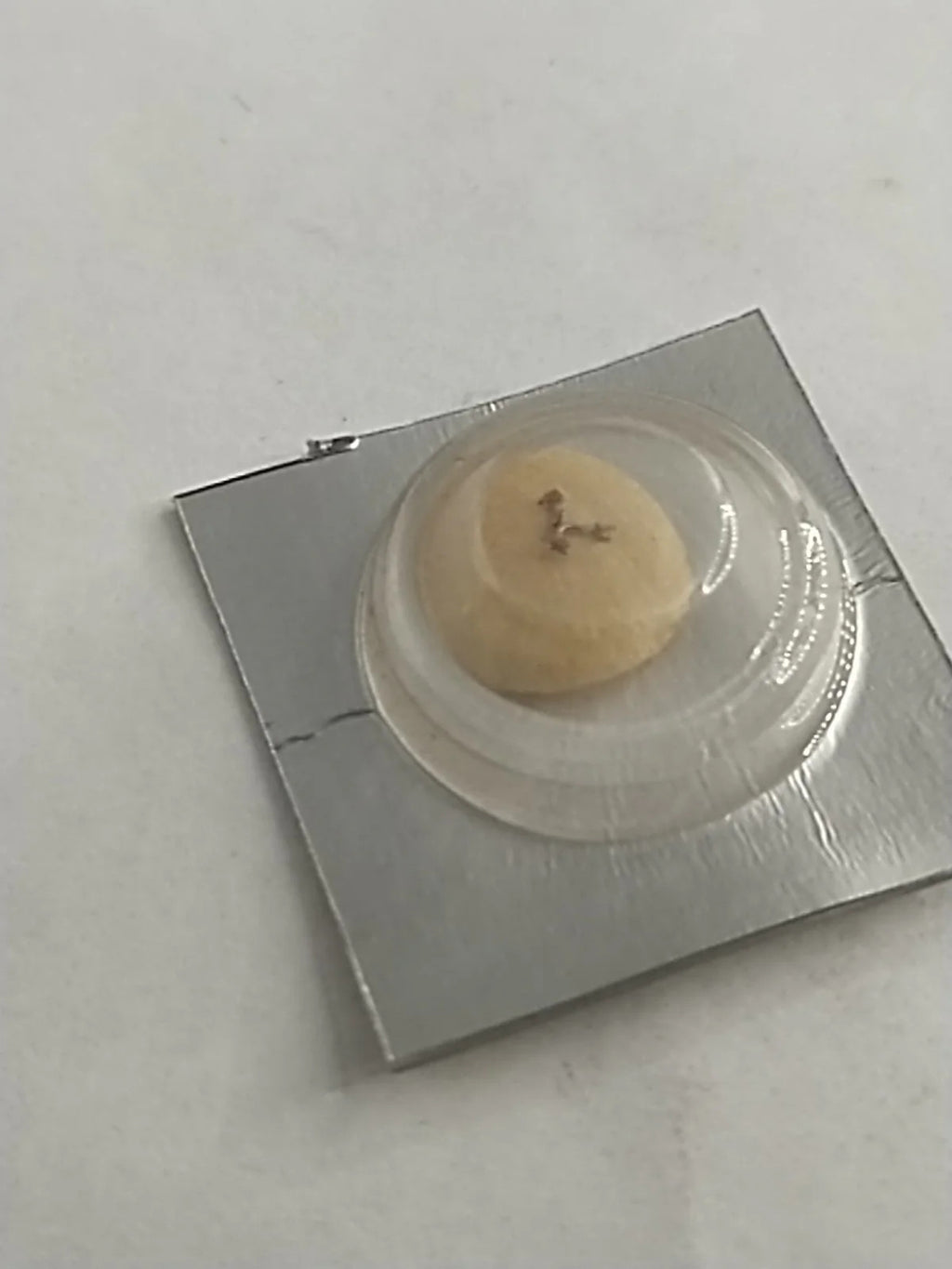 NOS Seiko Parts 301 110 Cal . 2205A