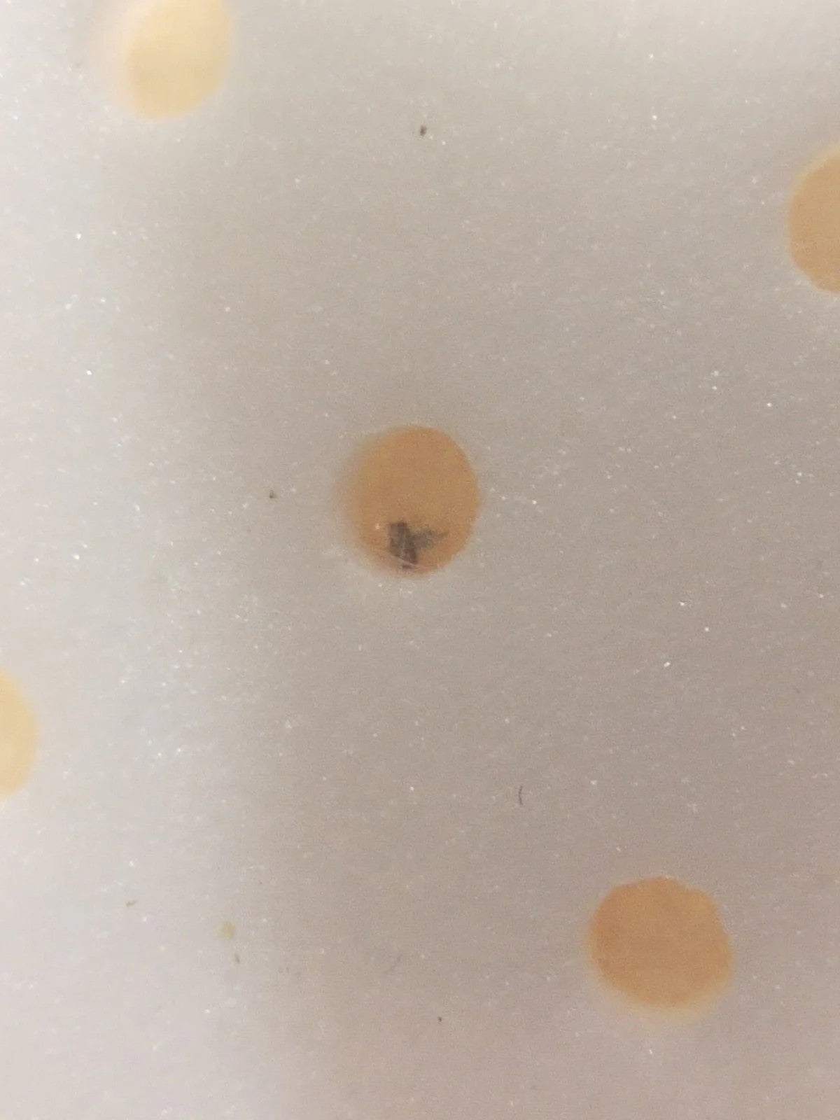 NOS Seiko Step Rotor Parts 4146 531/(1pc