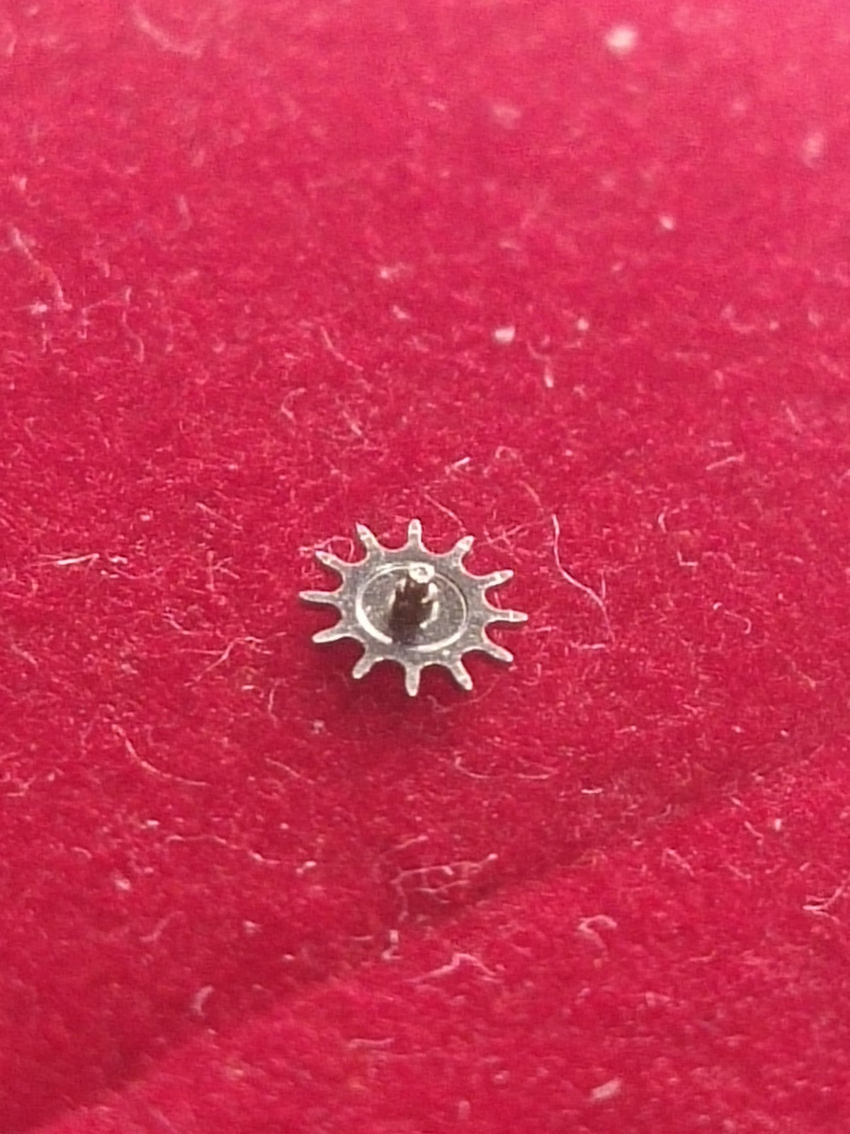 45866589